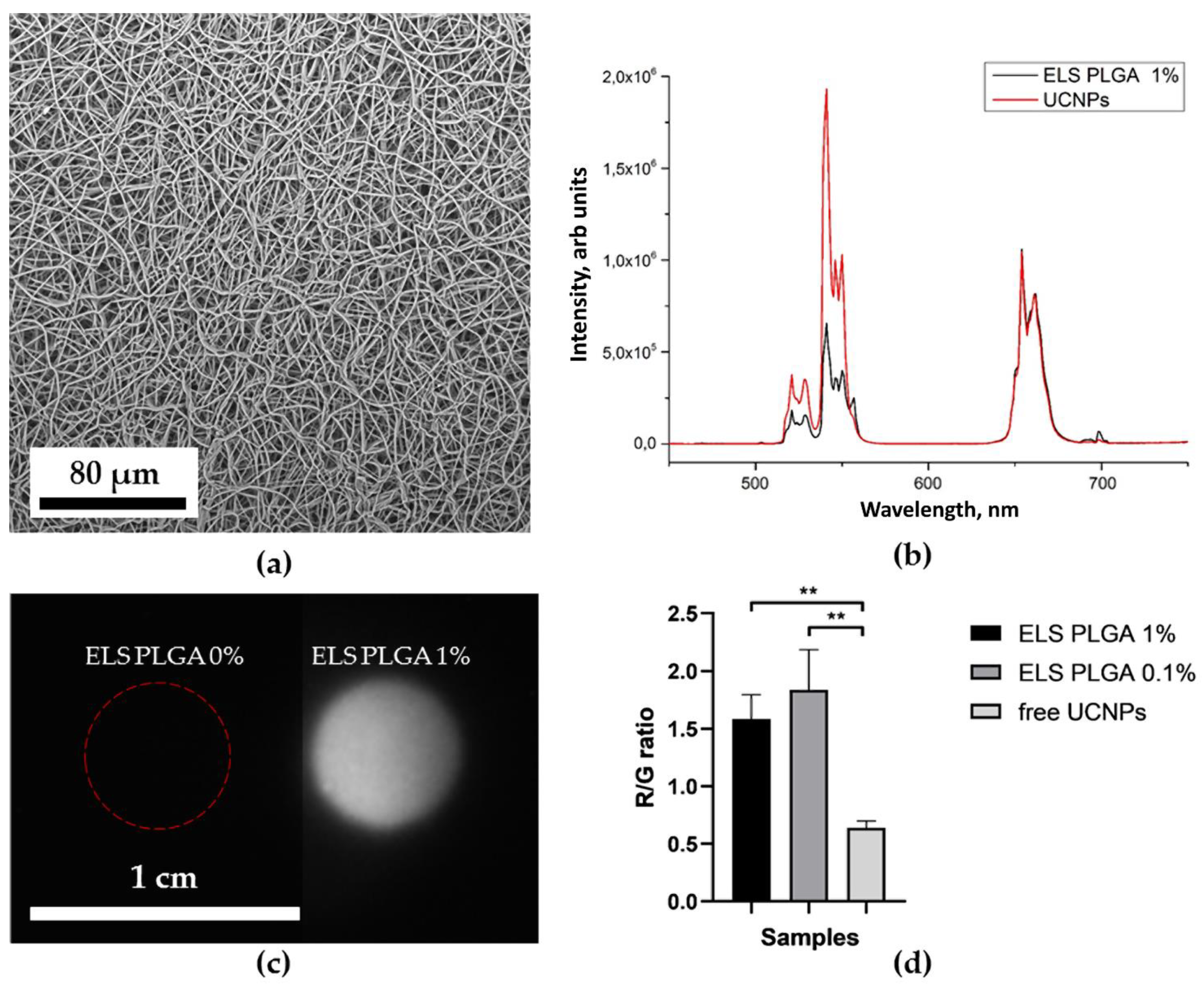 Molecules 27 06547 g007