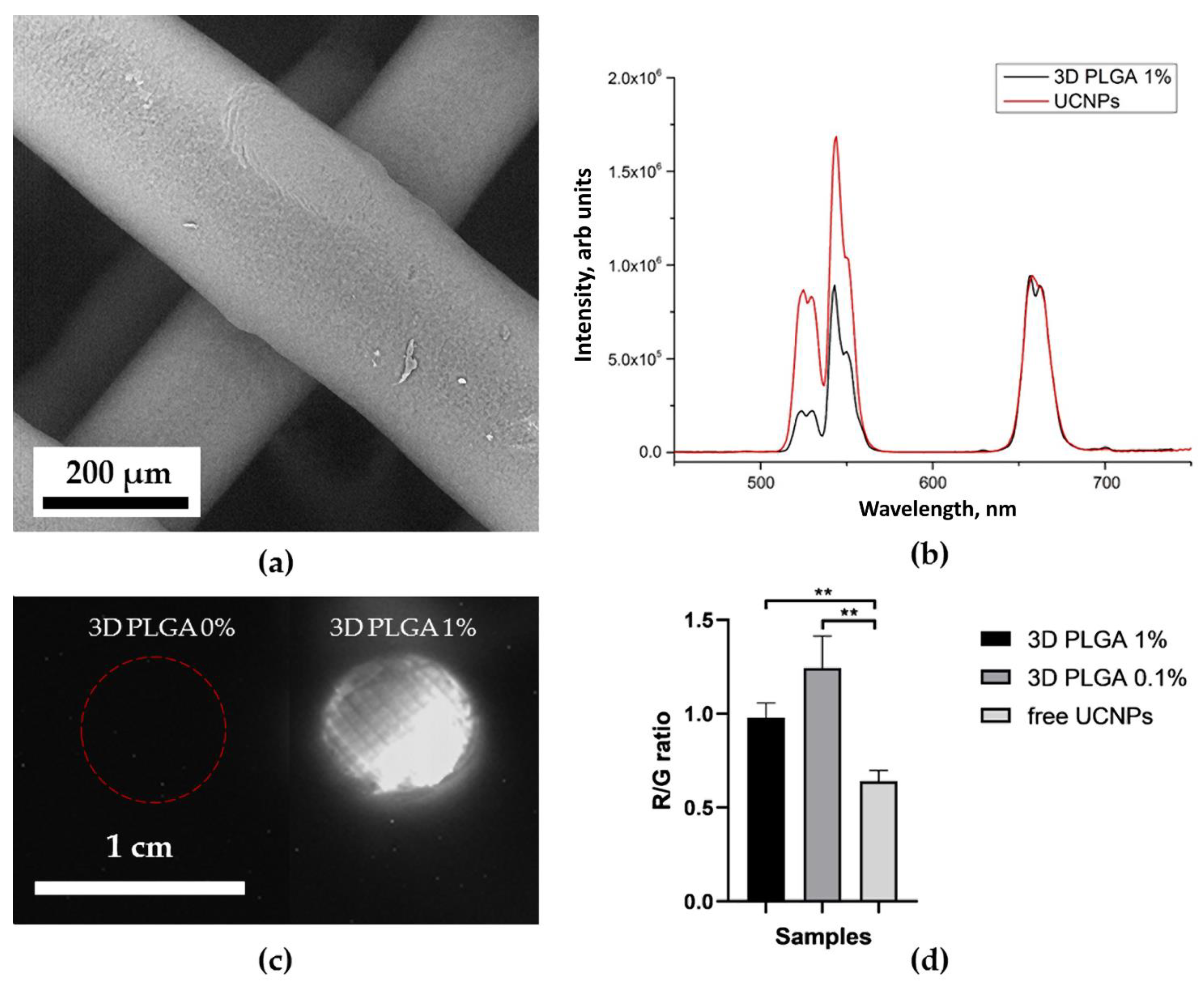 Molecules 27 06547 g008