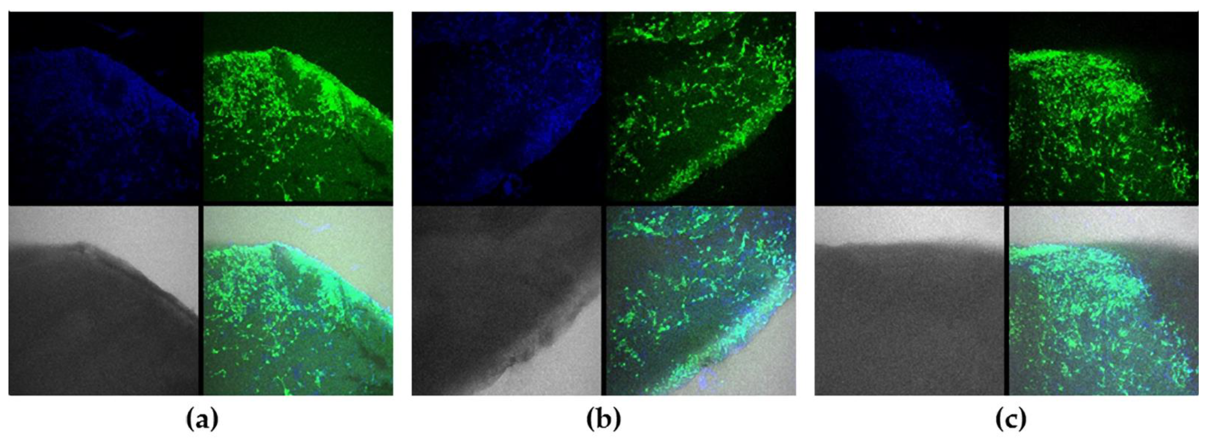 Molecules 27 06547 g012