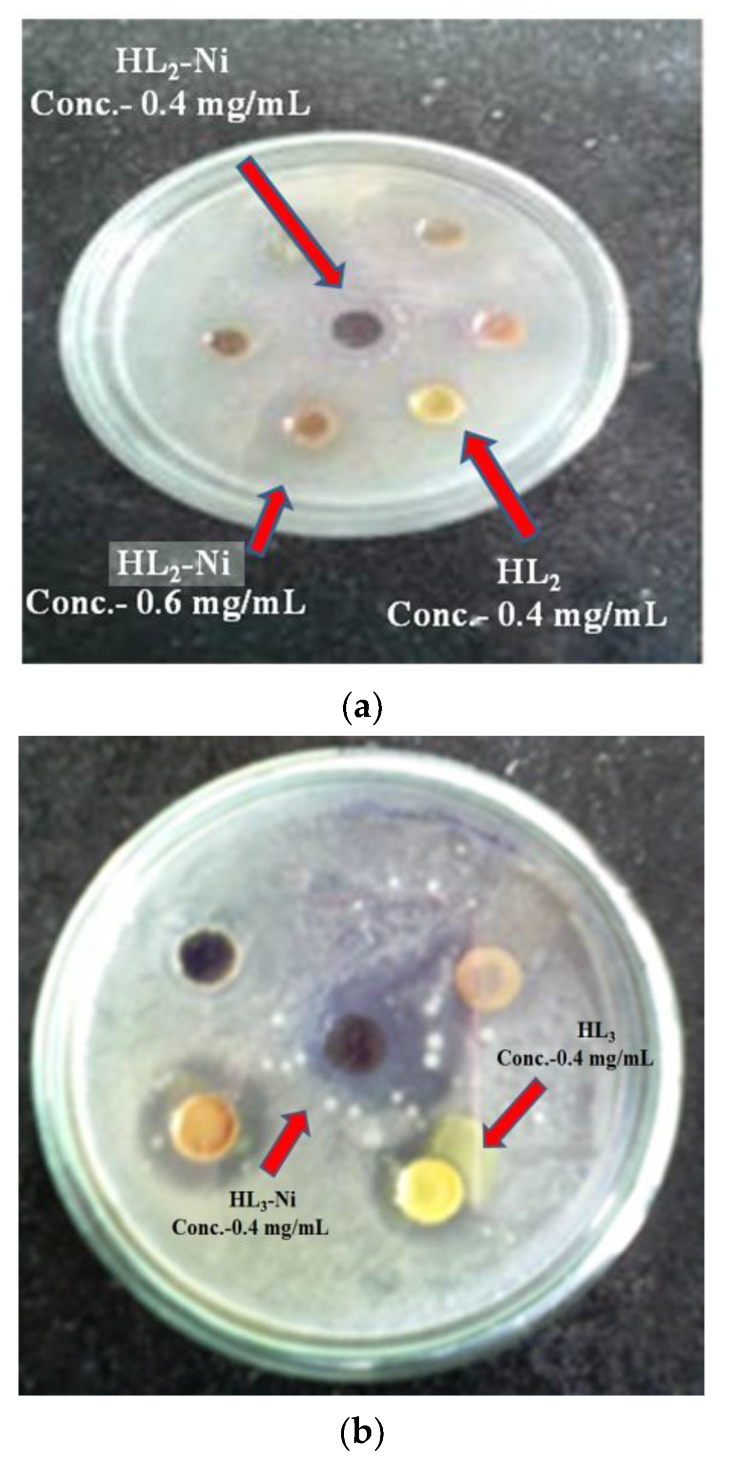 Molecules 27 06548 g002