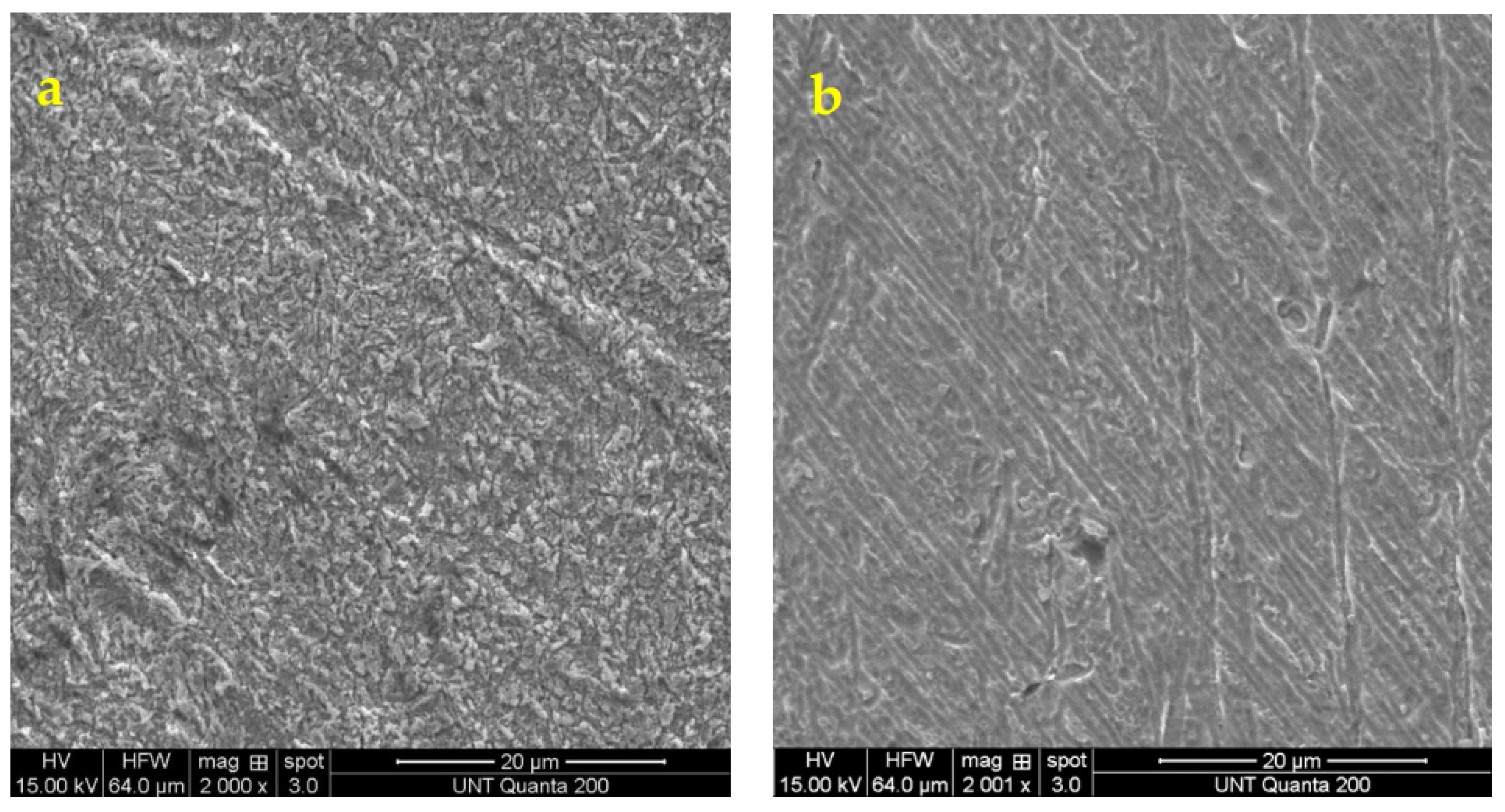 Molecules 27 06550 g004 Molecules 27 06550 g004