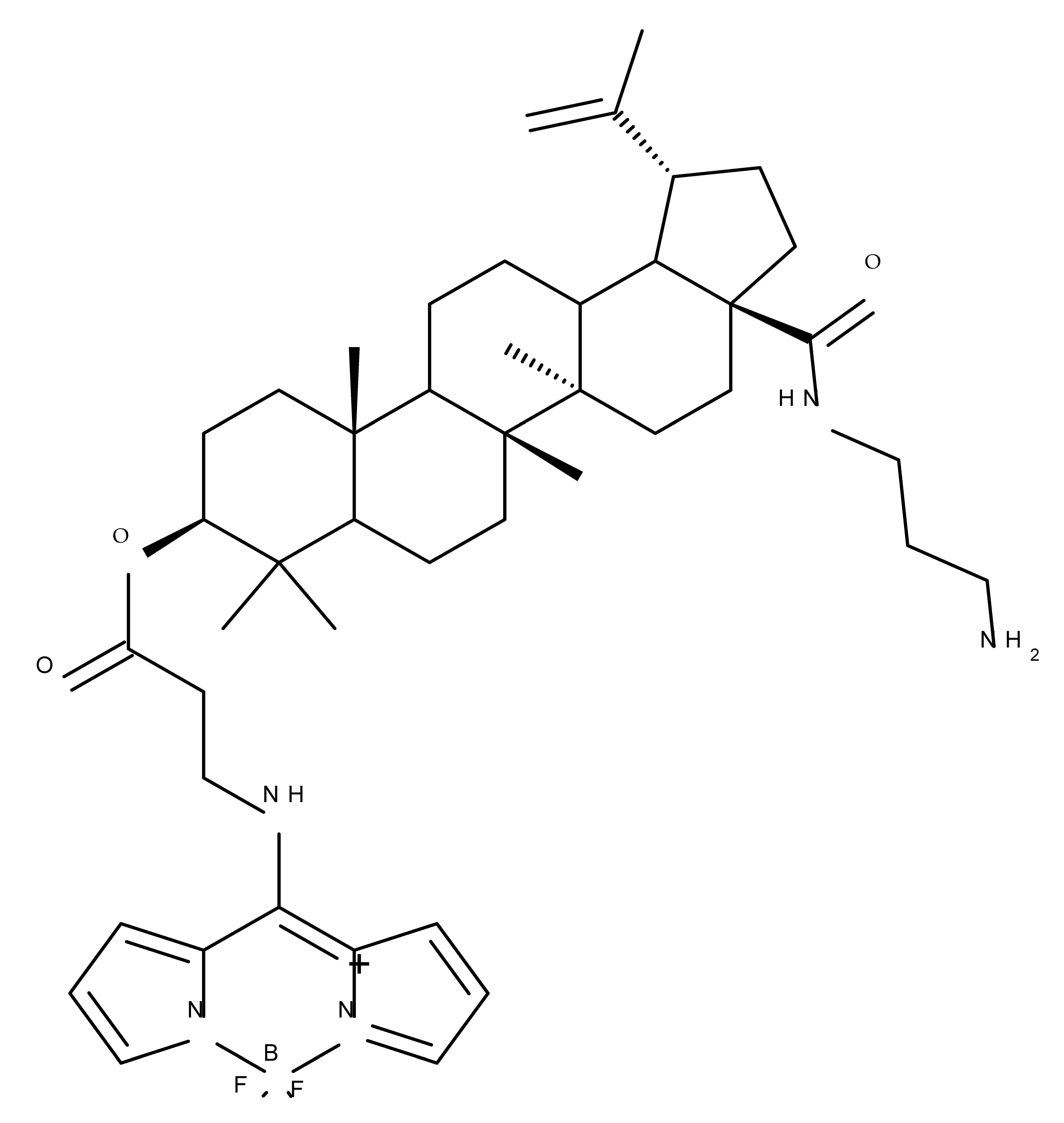Molecules 27 06552 i064 Molecules 27 06552 i064