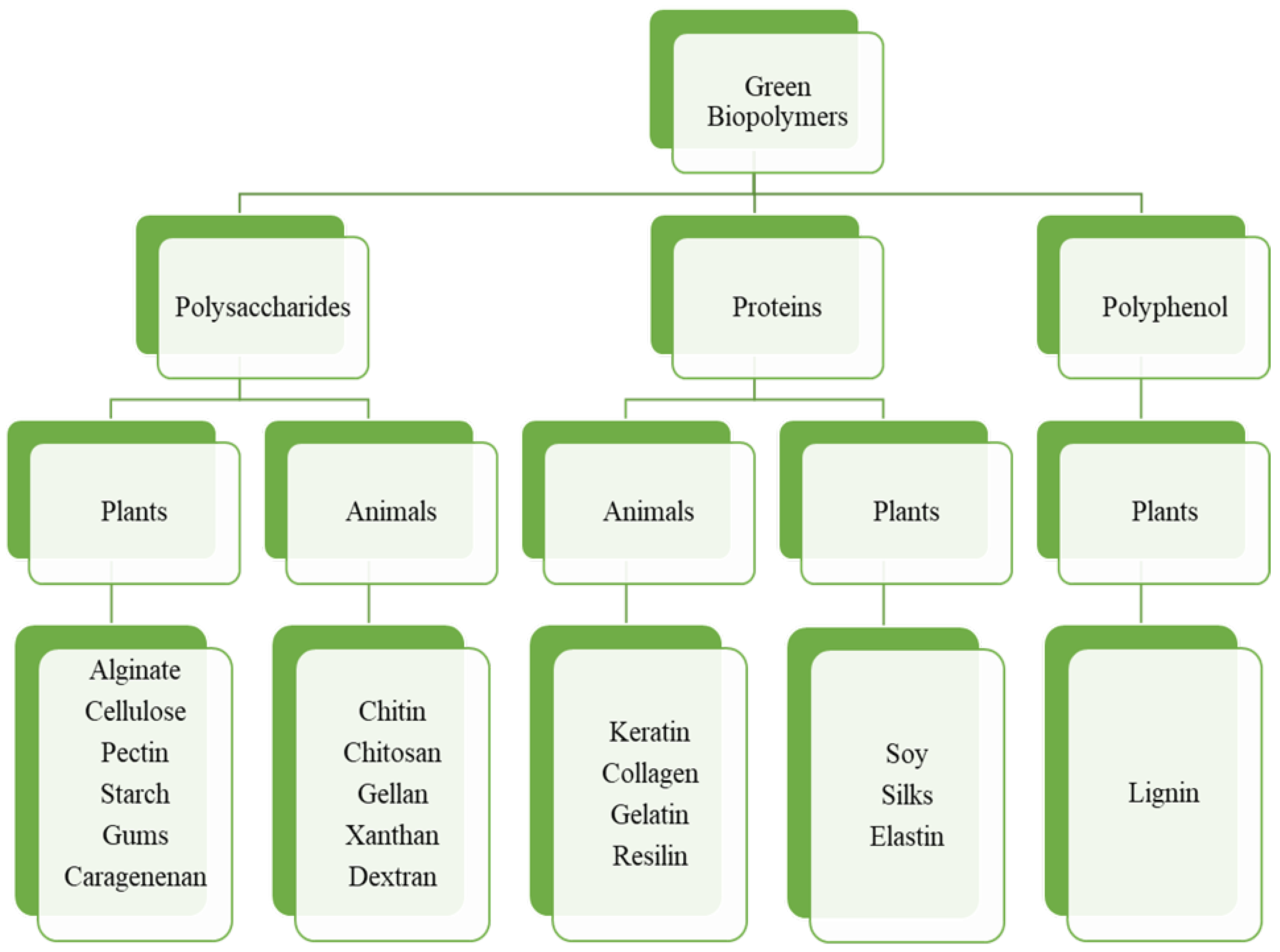 Molecules 27 06556 g002