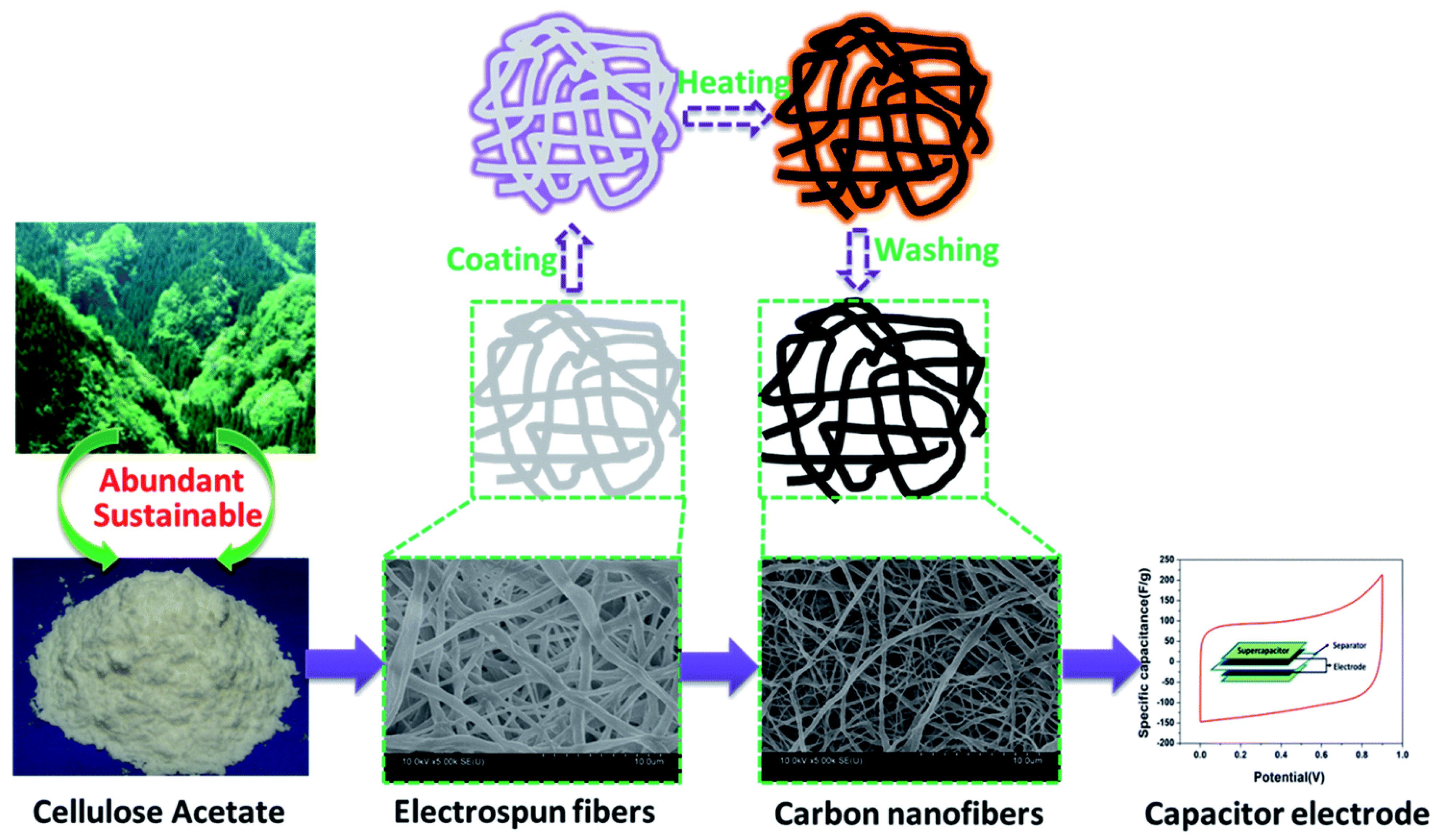 Molecules 27 06556 g003