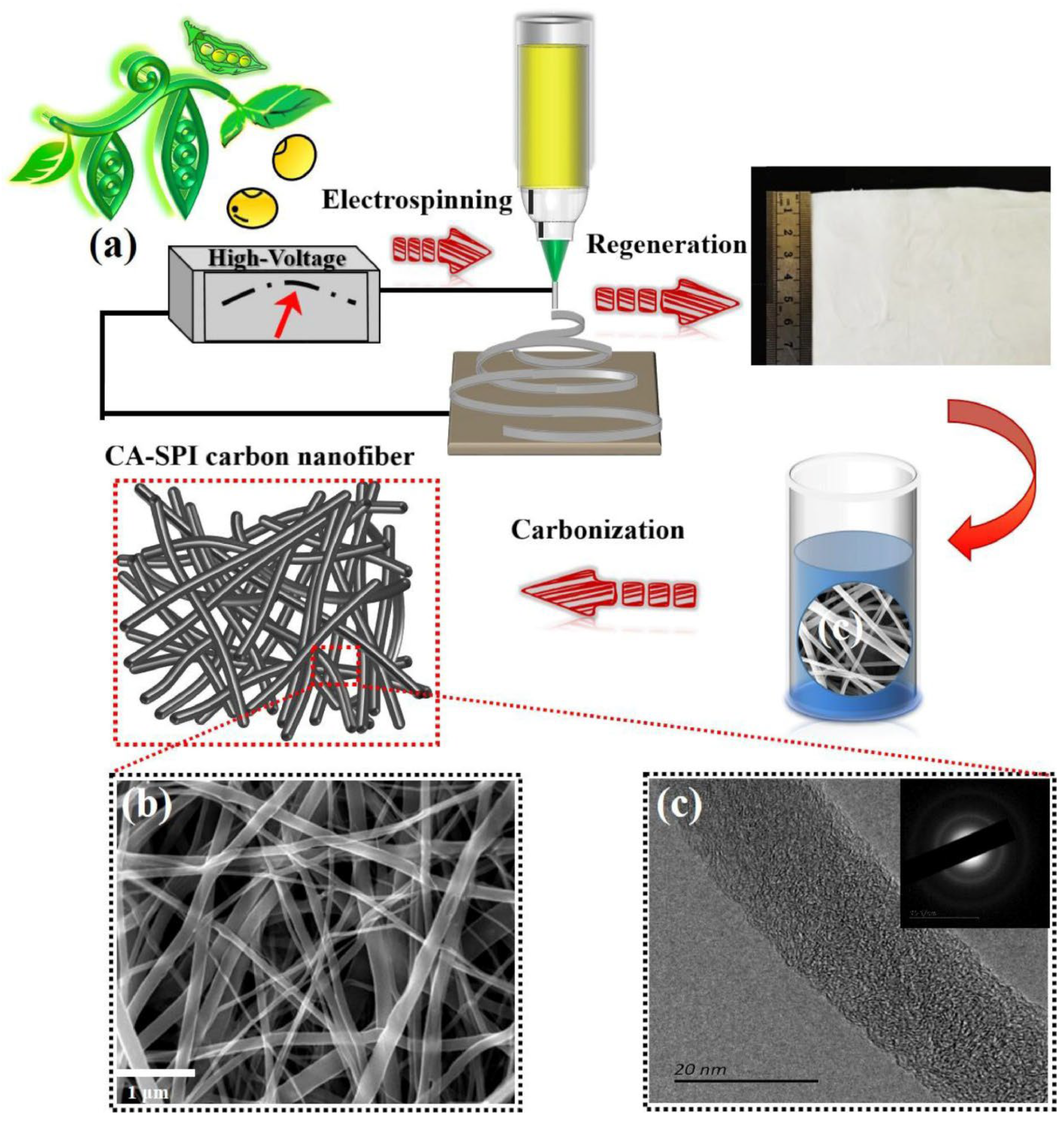 Molecules 27 06556 g004