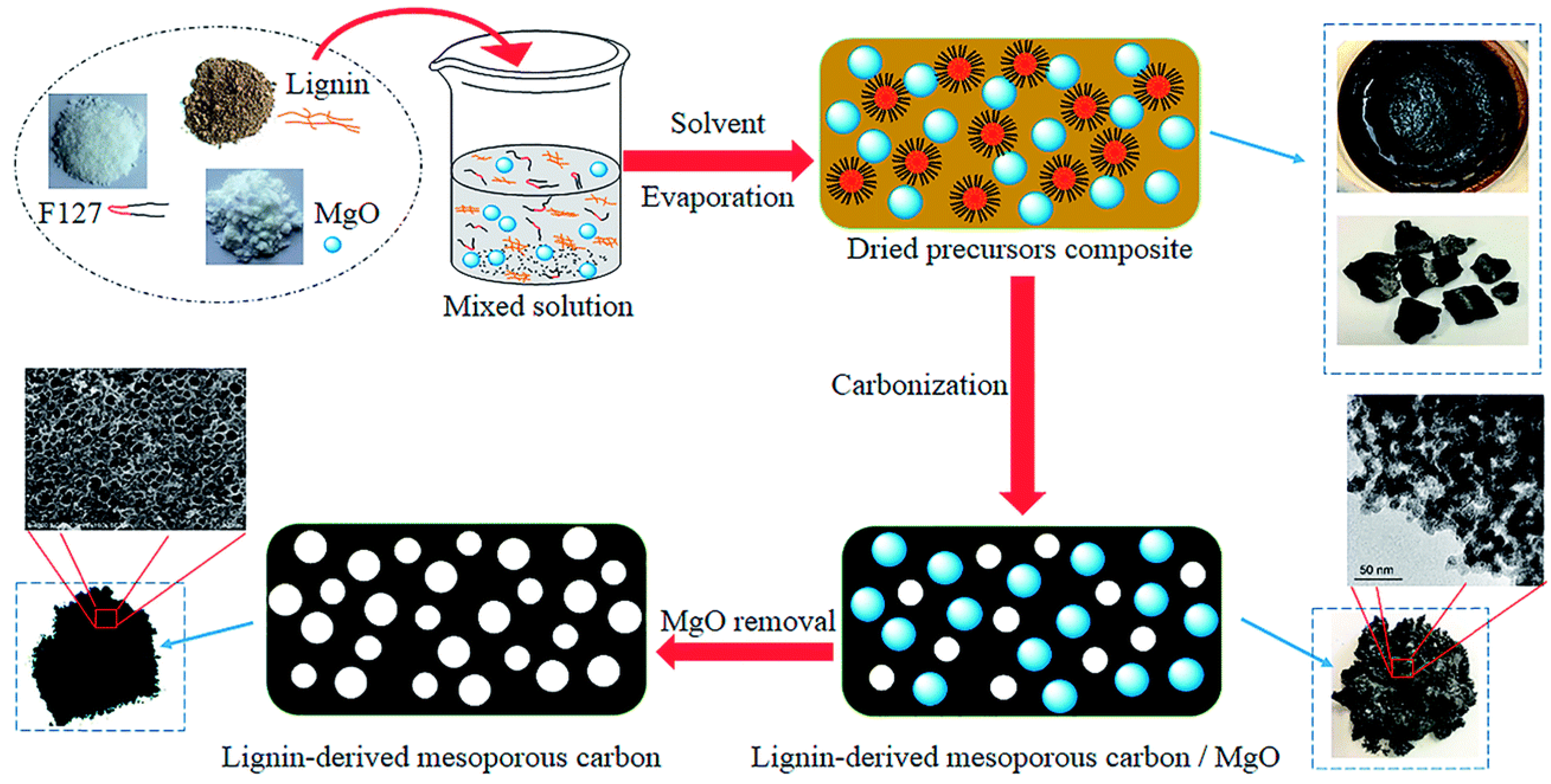 Molecules 27 06556 g007