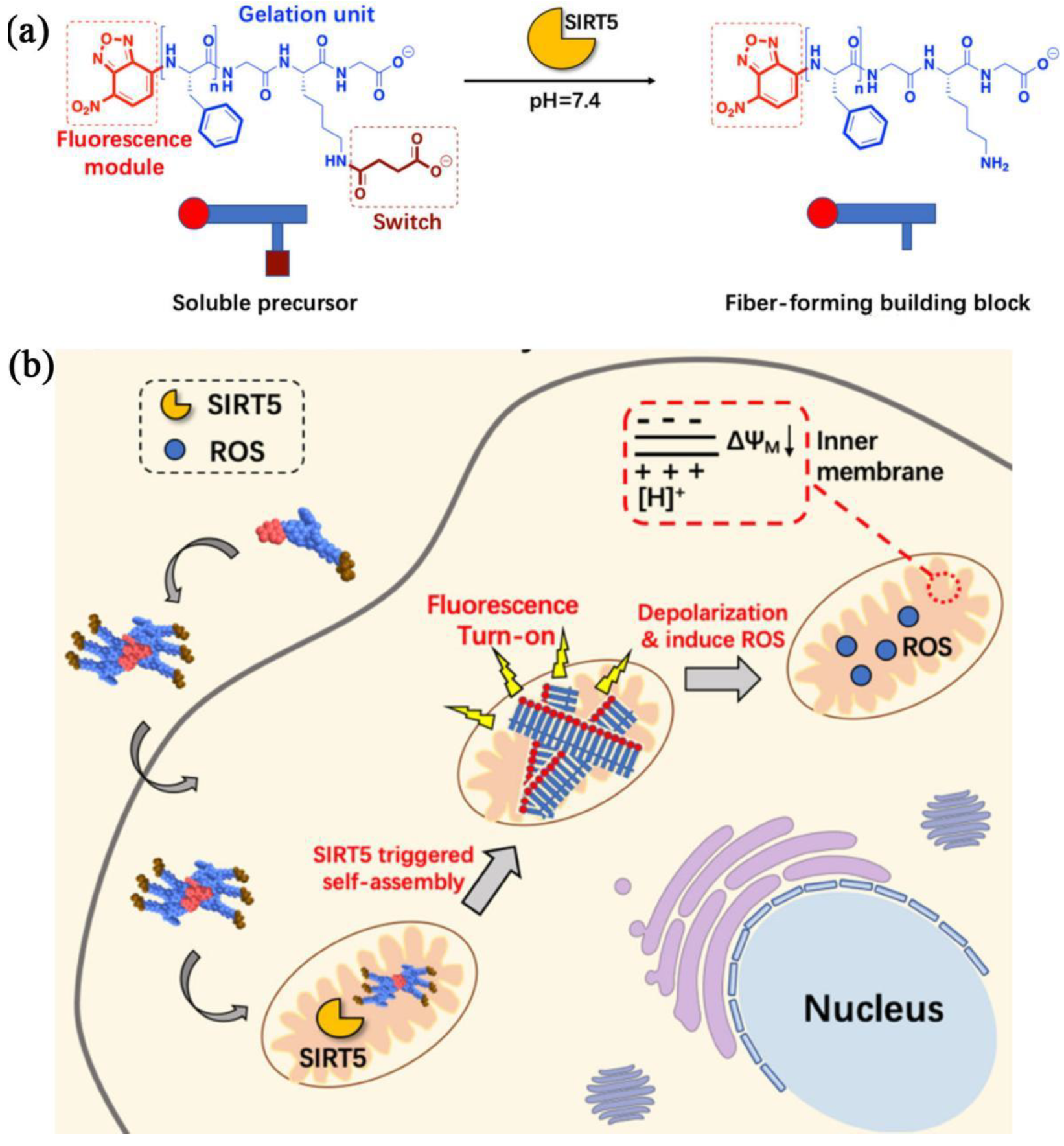 Molecules 27 06557 g001 Molecules 27 06557 g001