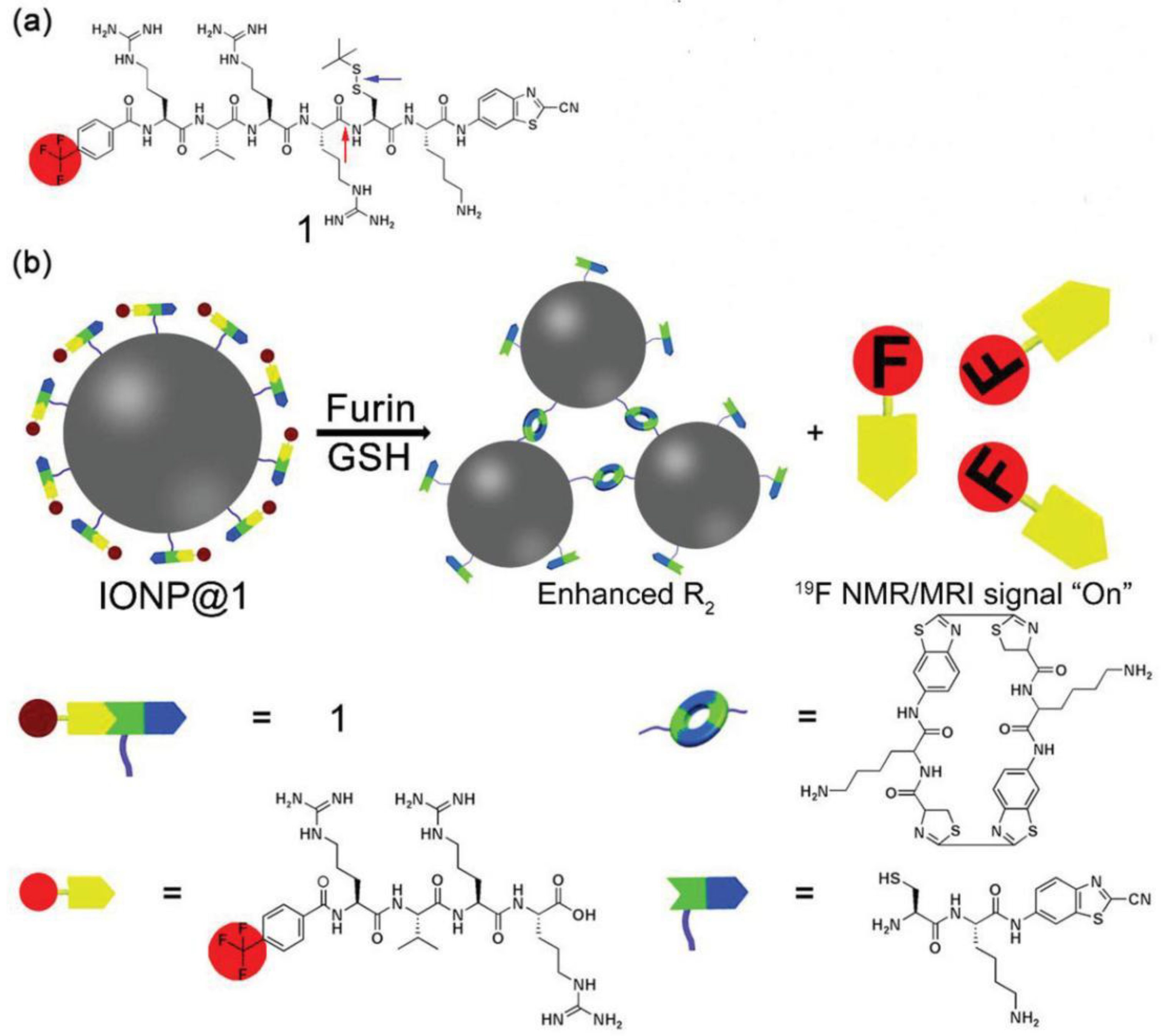 Molecules 27 06557 g003 Molecules 27 06557 g003