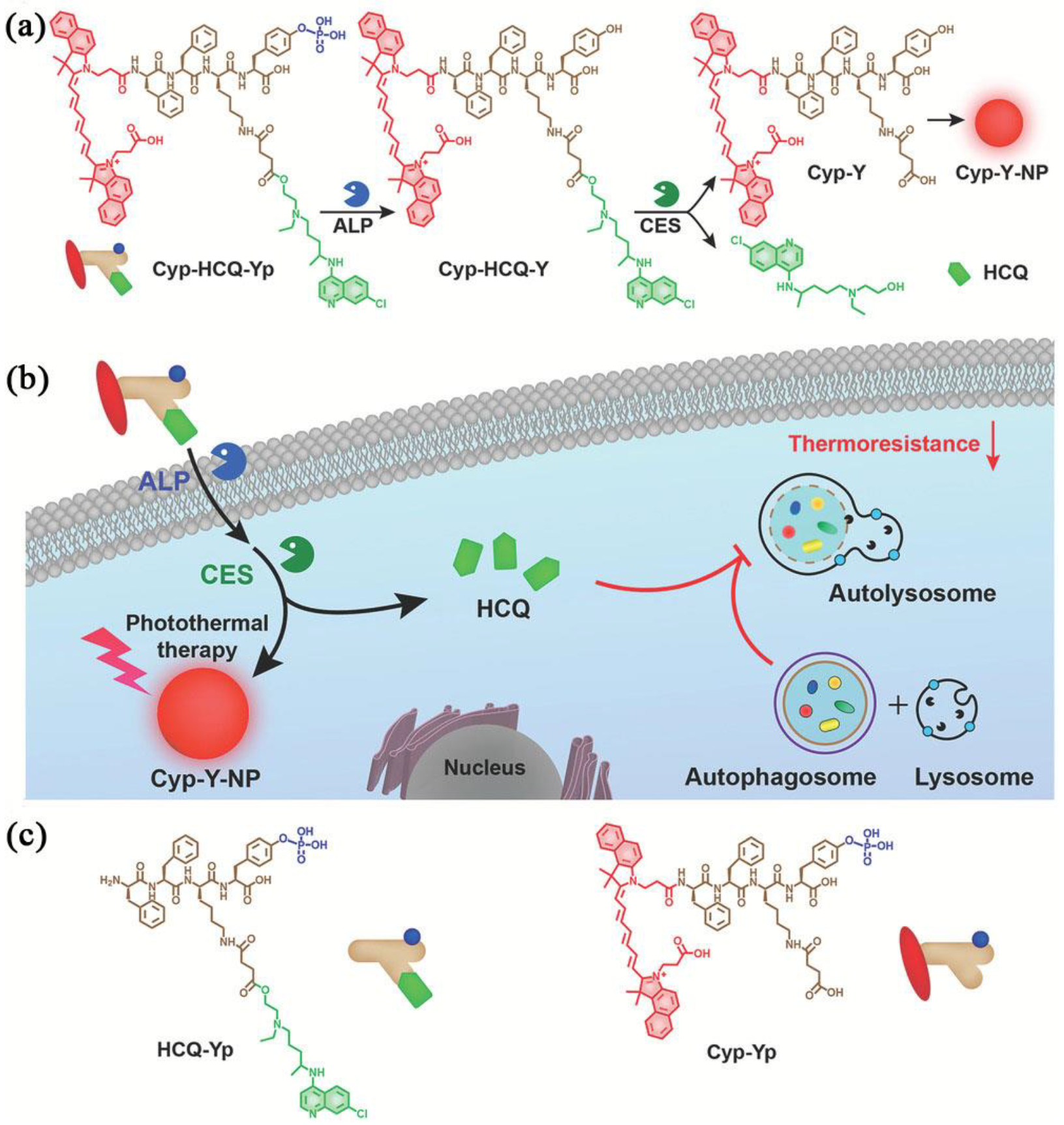Molecules 27 06557 g005 Molecules 27 06557 g005