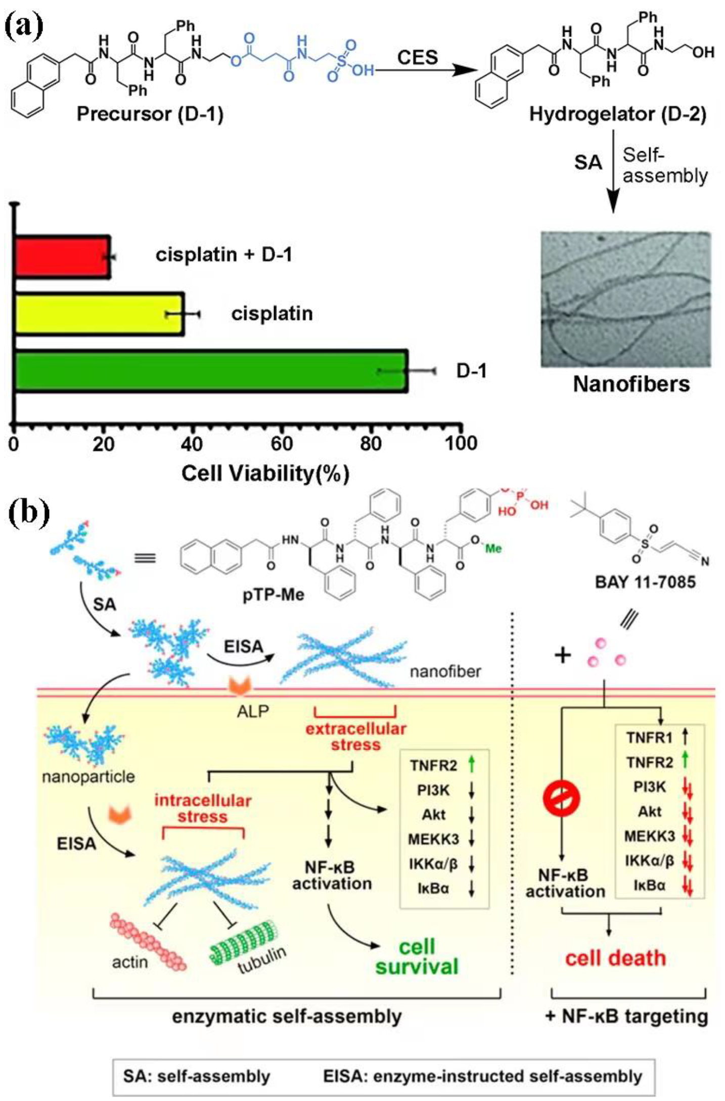 Molecules 27 06557 g006 Molecules 27 06557 g006