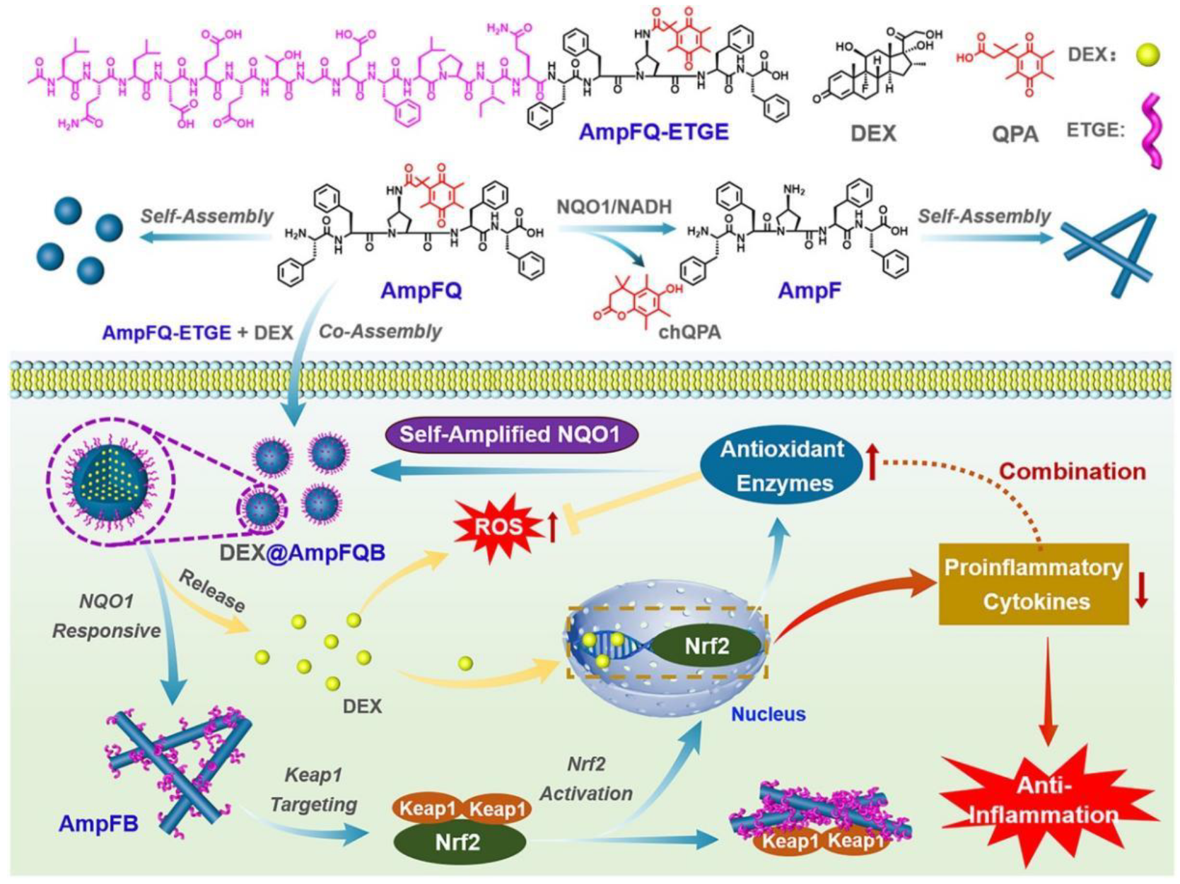 Molecules 27 06557 g009 Molecules 27 06557 g009