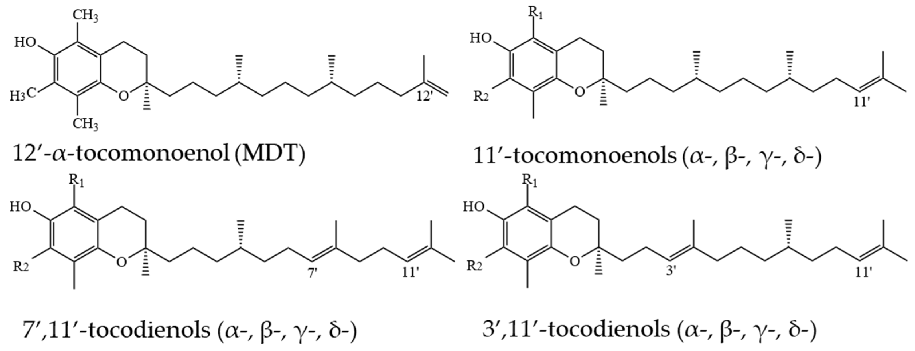Molecules 27 06560 g008 Molecules 27 06560 g008