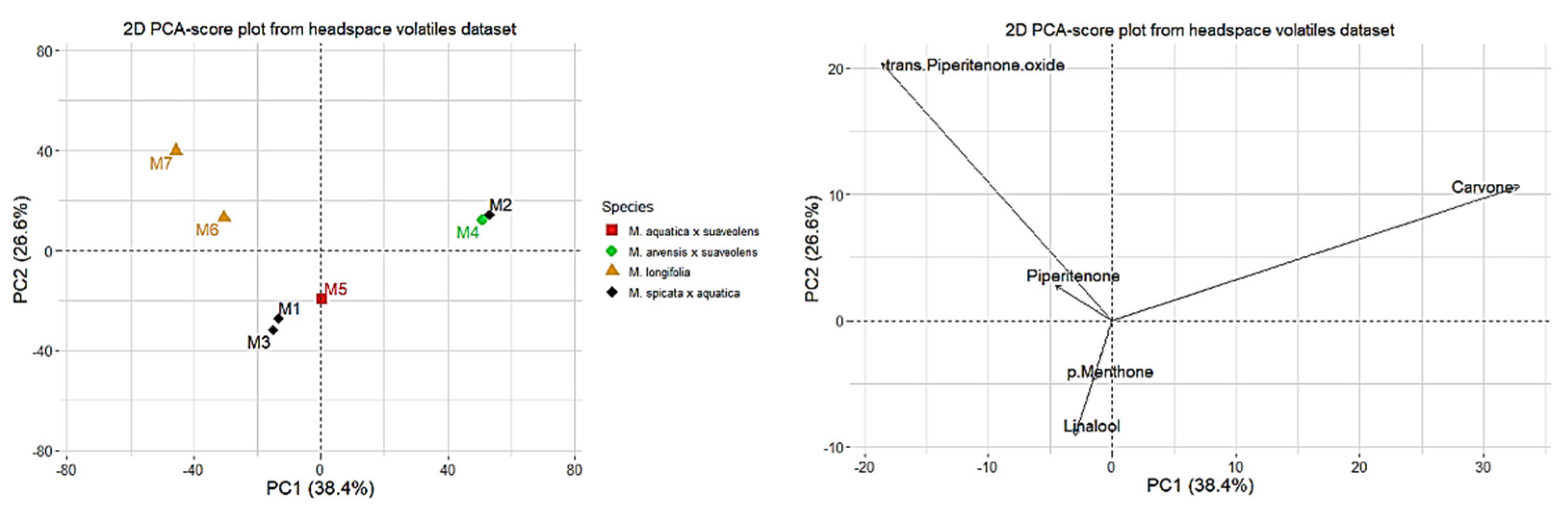 Molecules Free FullText Headspace SolidPhase MicroExtraction Versus Hydrodistillation of