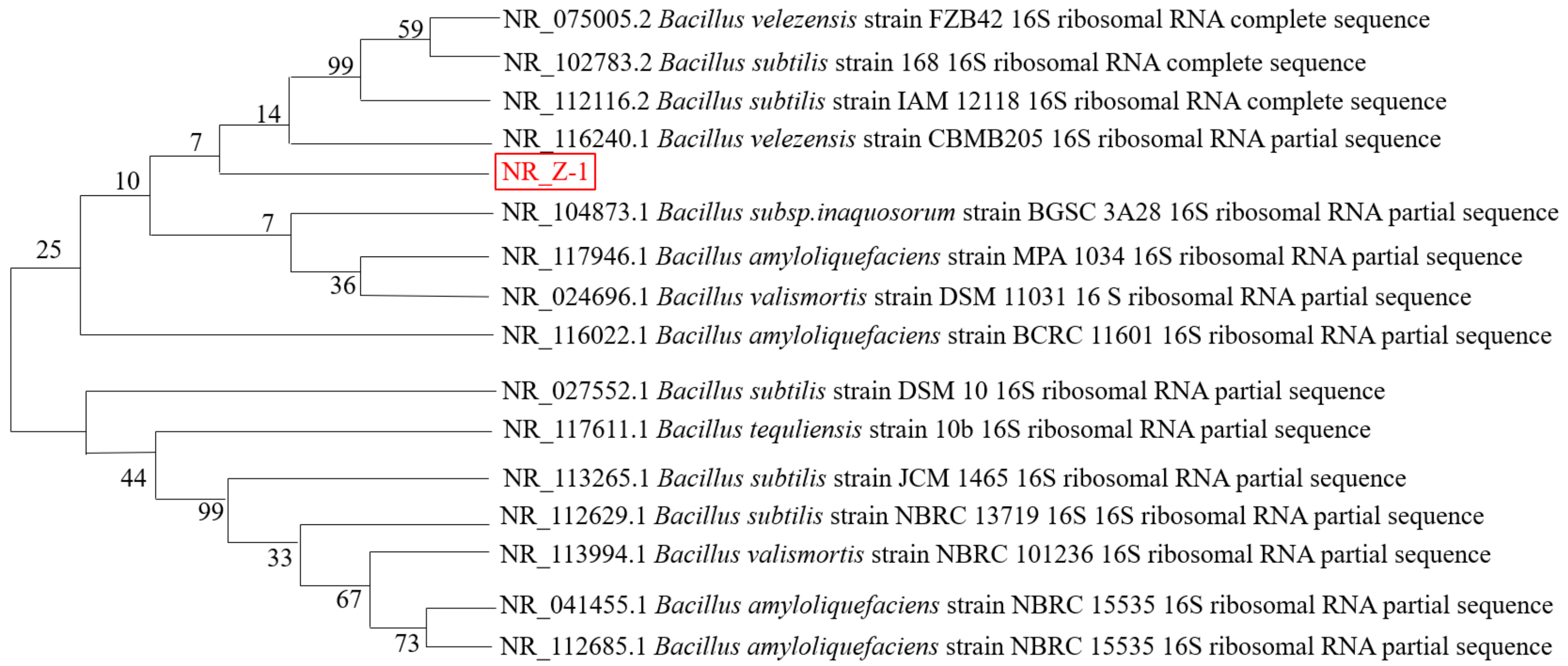 Molecules 27 06570 g002