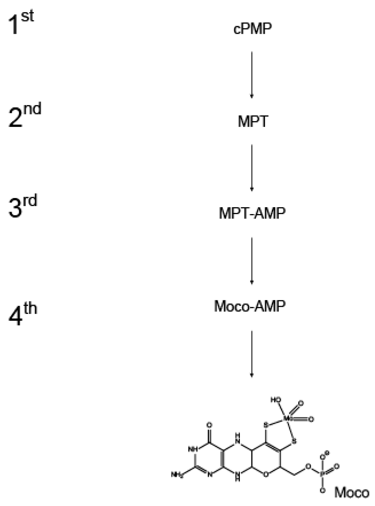 Molecules 27 06571 g001 Molecules 27 06571 g001