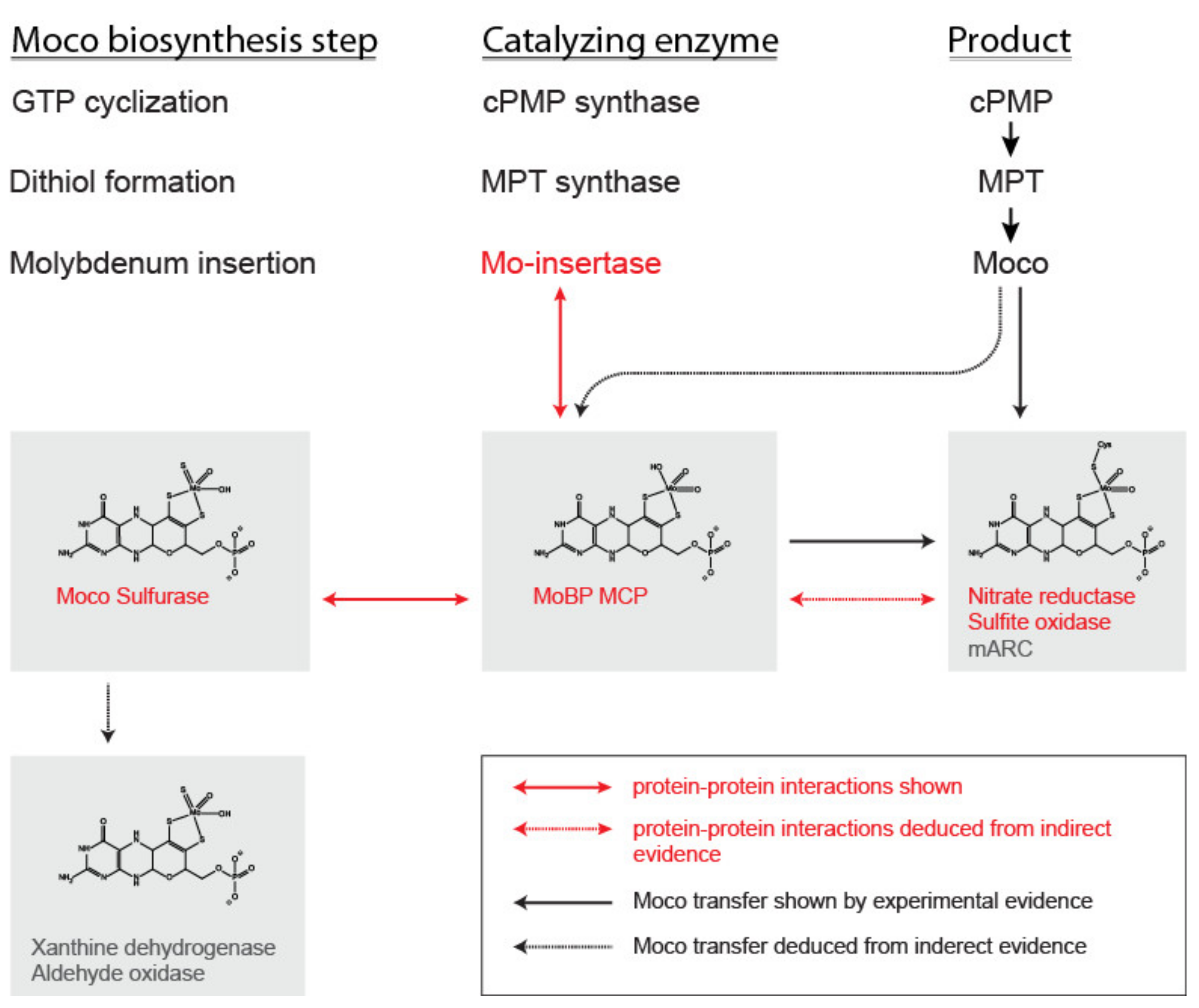 Molecules 27 06571 g002 Molecules 27 06571 g002