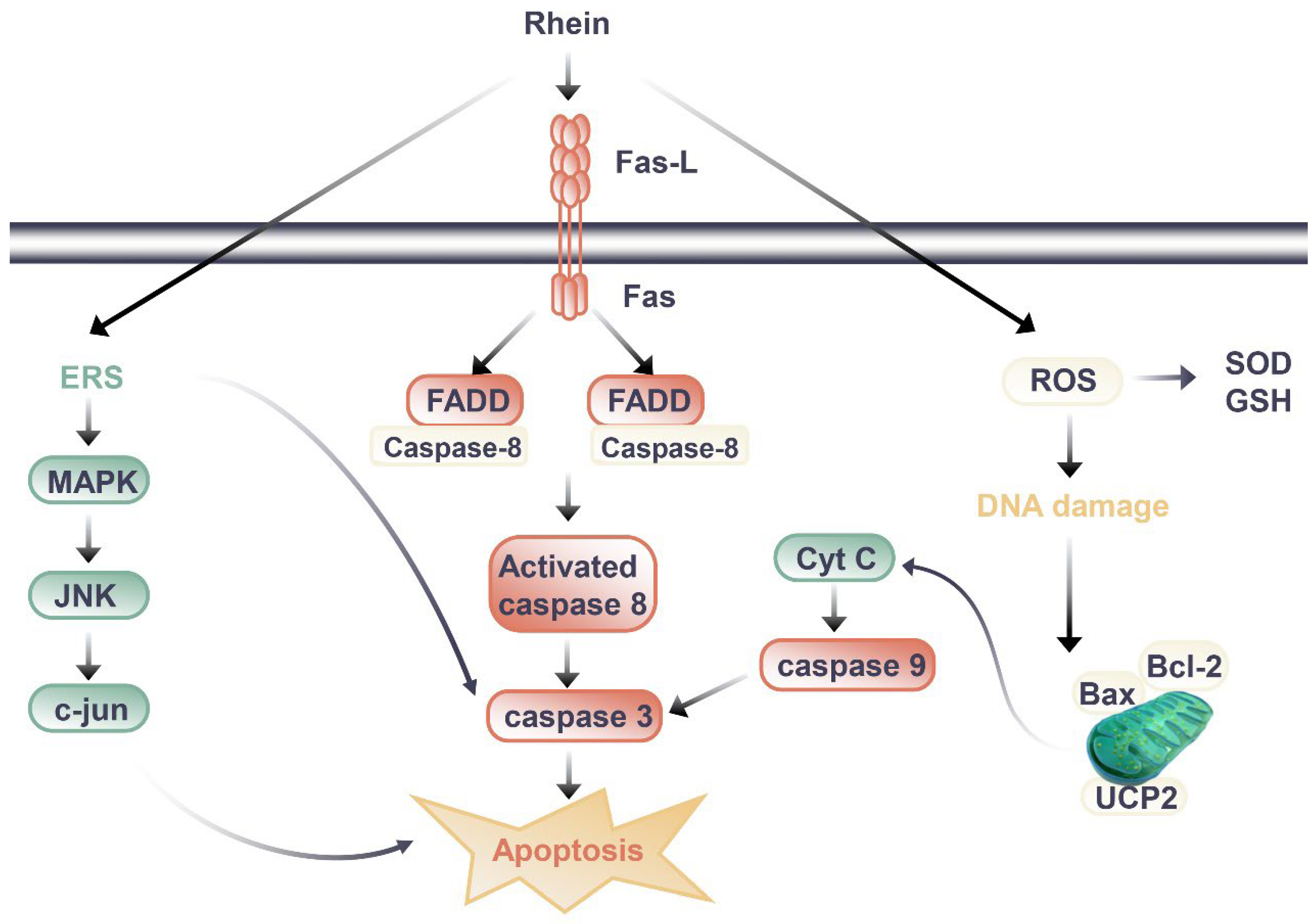 Molecules 27 06572 g002