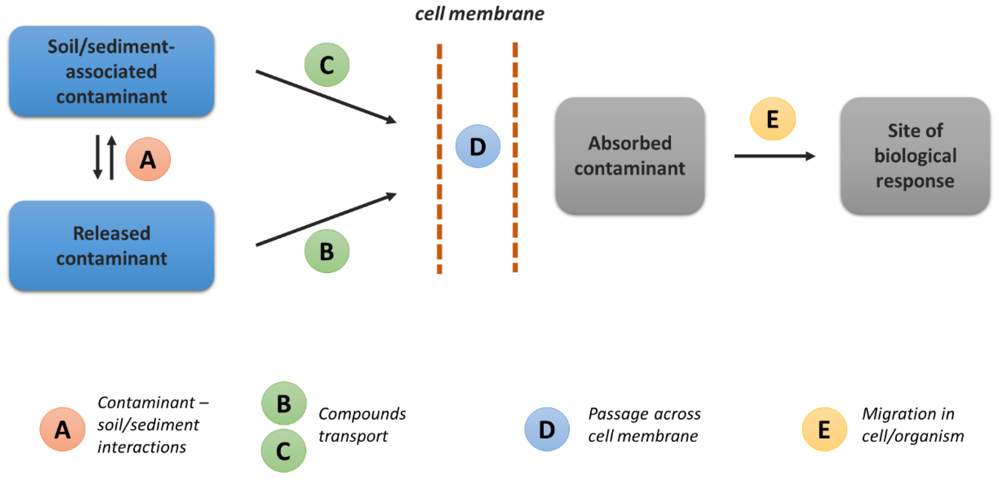 Molecules 27 06579 g001 Molecules 27 06579 g001