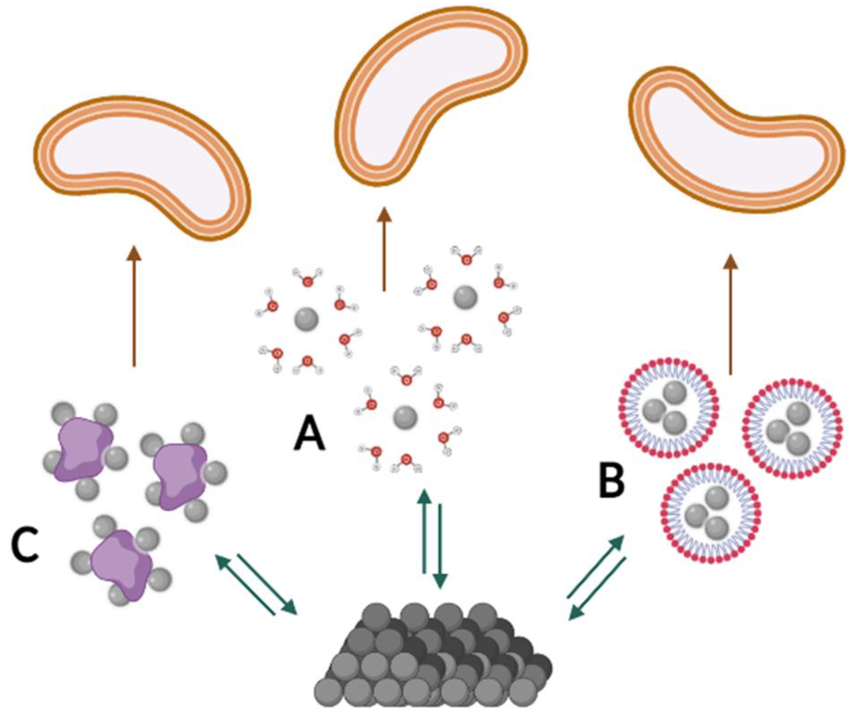 Molecules 27 06579 g003 Molecules 27 06579 g003