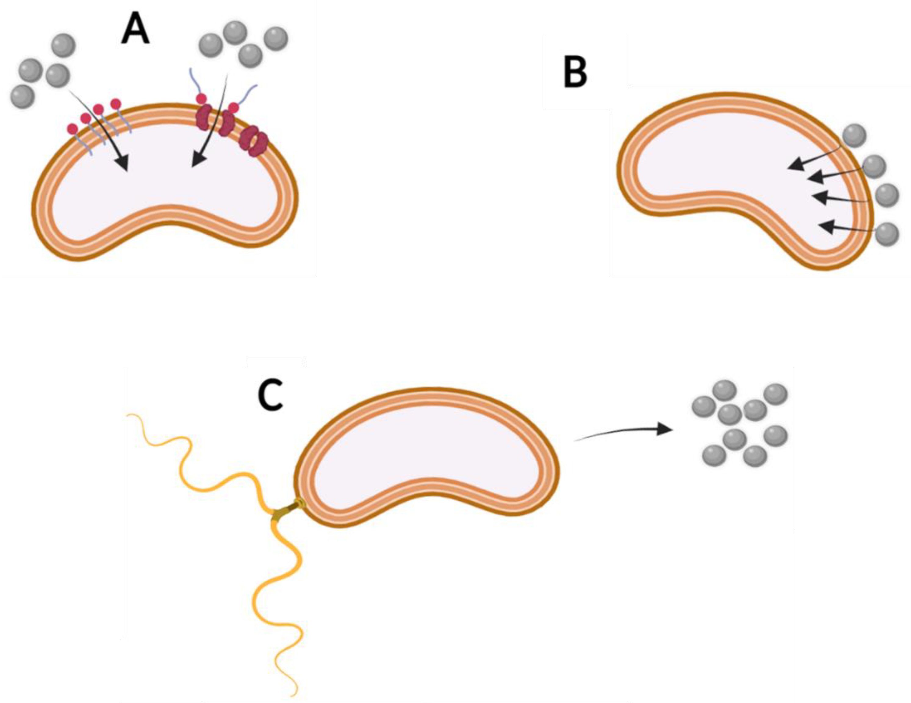 Molecules 27 06579 g004 Molecules 27 06579 g004