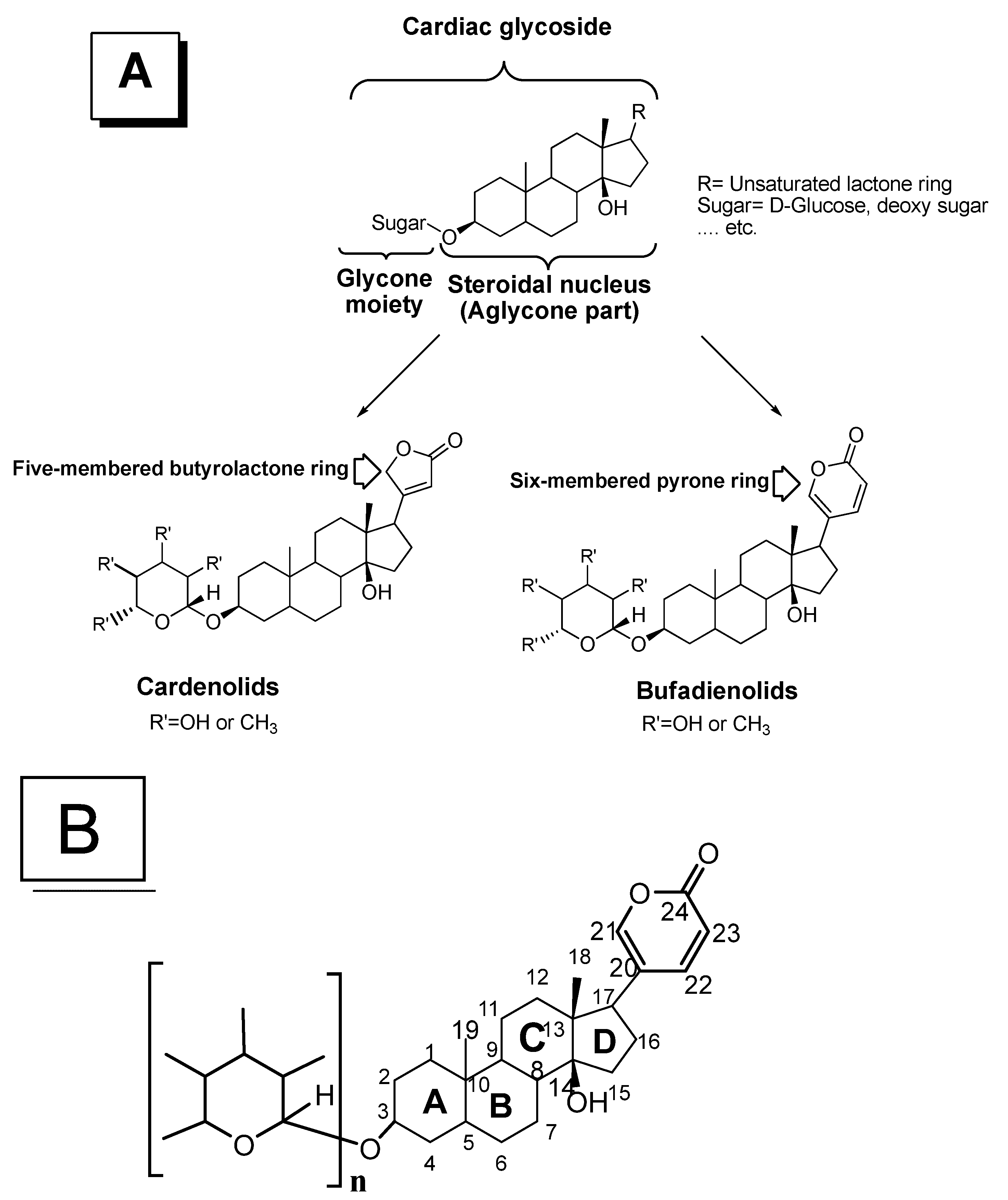 Molecules 27 06586 g001 Molecules 27 06586 g001