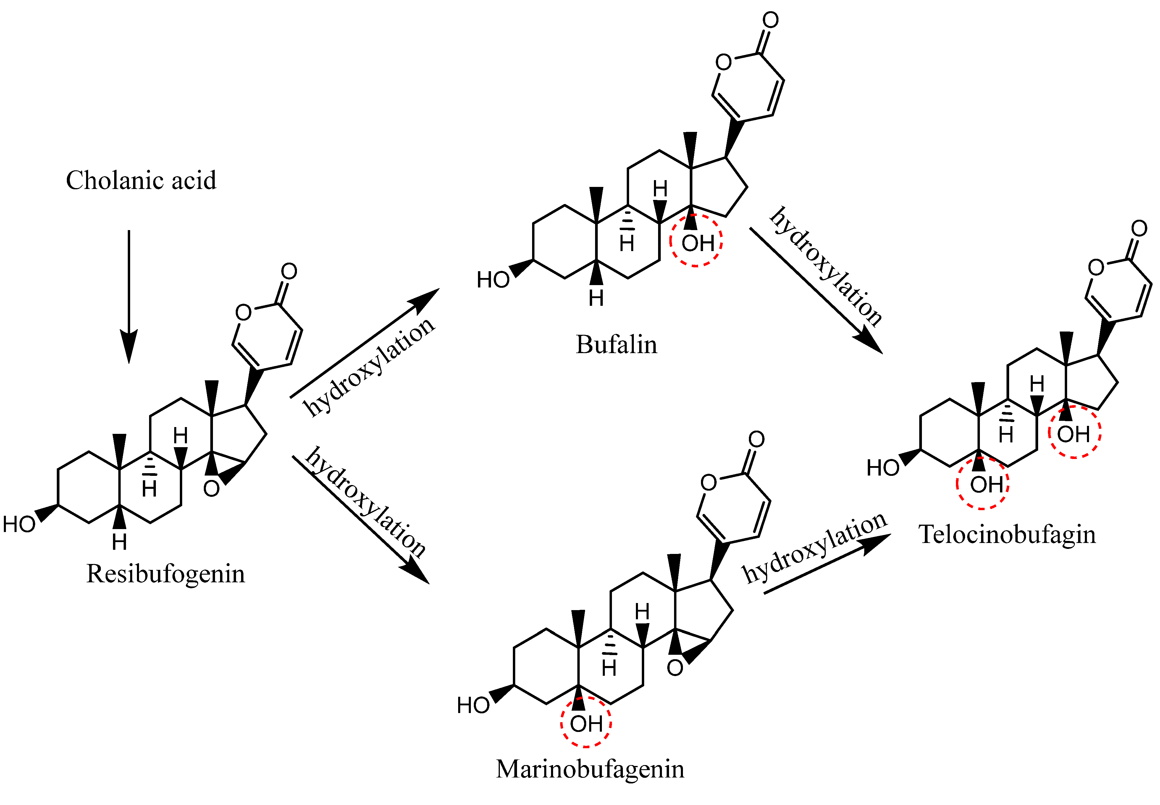 Molecules 27 06586 g002 Molecules 27 06586 g002
