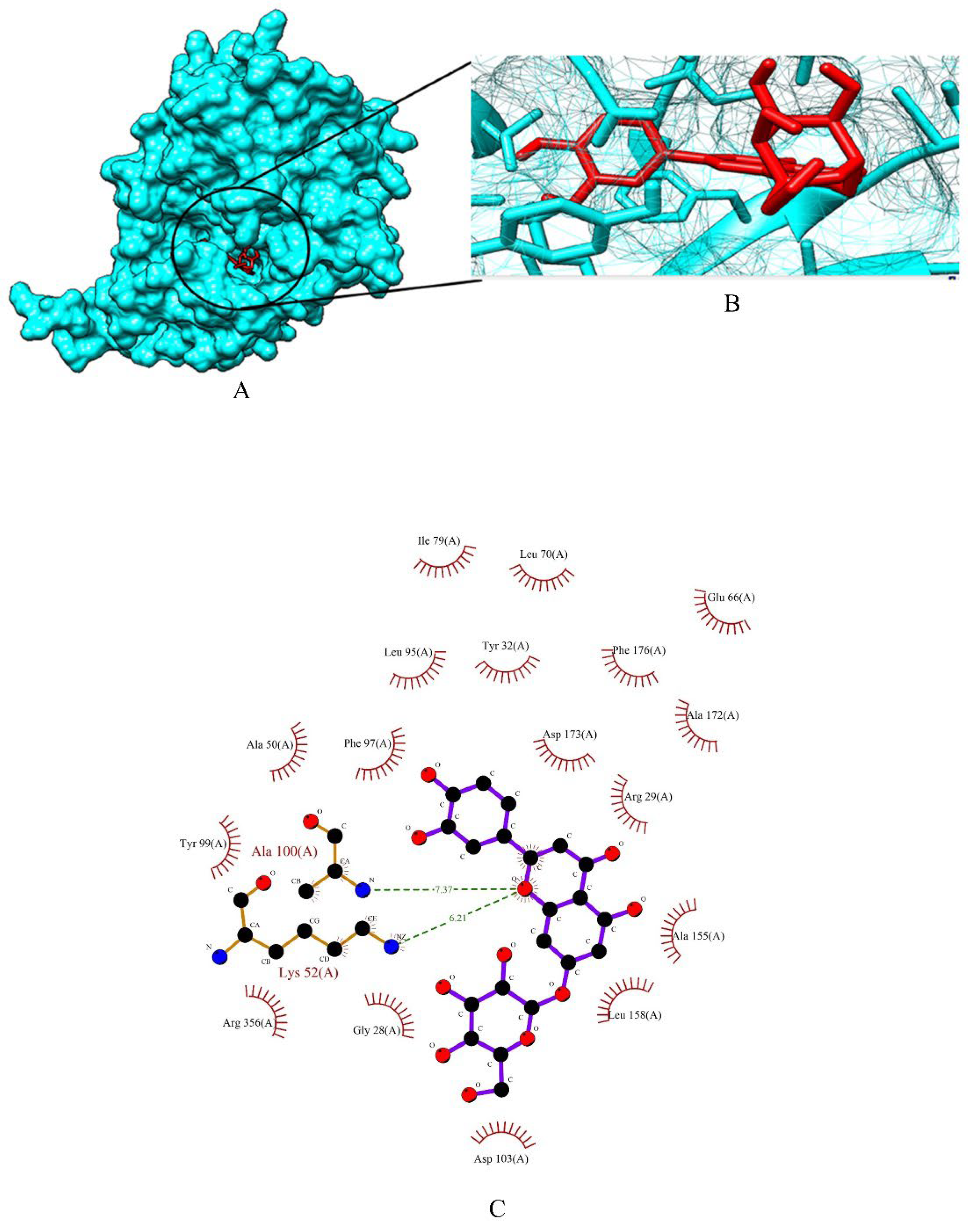 Molecules 27 06590 g002 Molecules 27 06590 g002