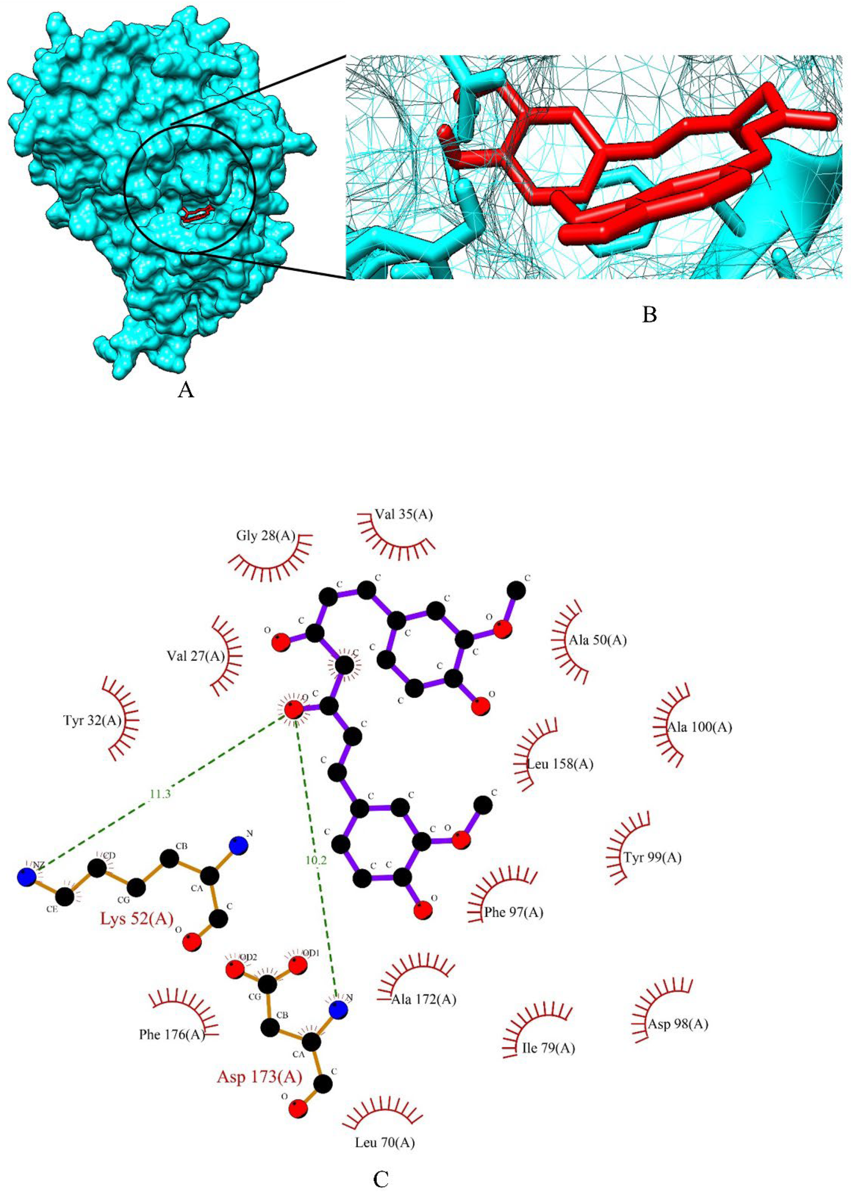 Molecules 27 06590 g004 Molecules 27 06590 g004