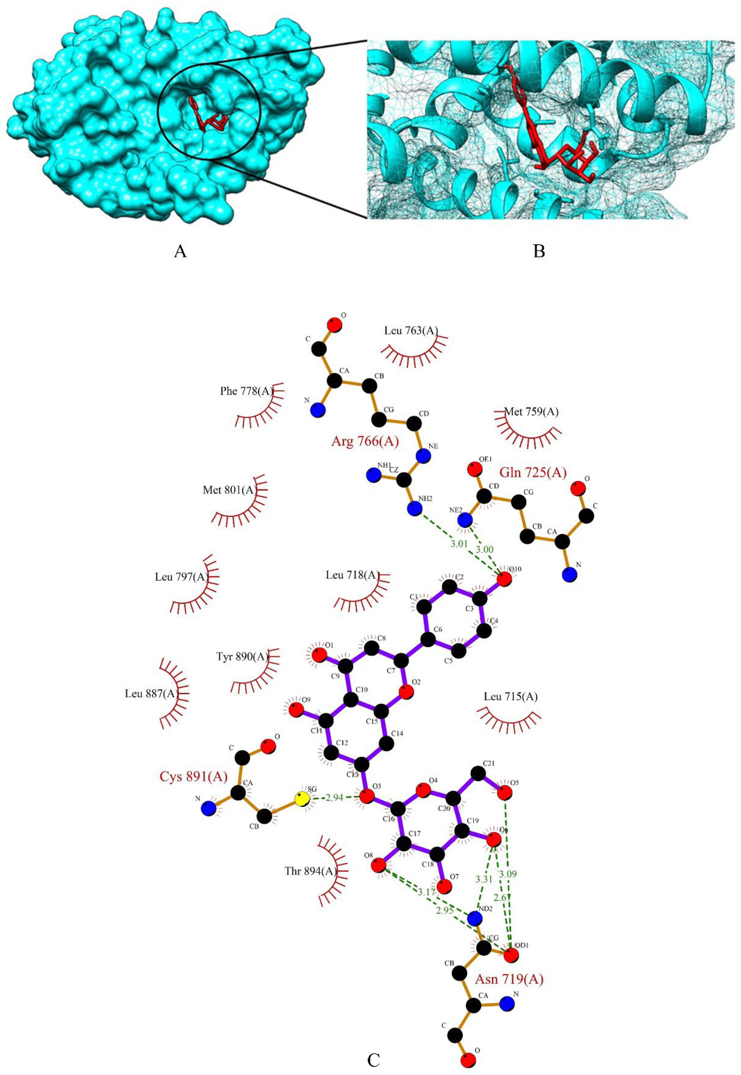 Molecules 27 06590 g006 Molecules 27 06590 g006