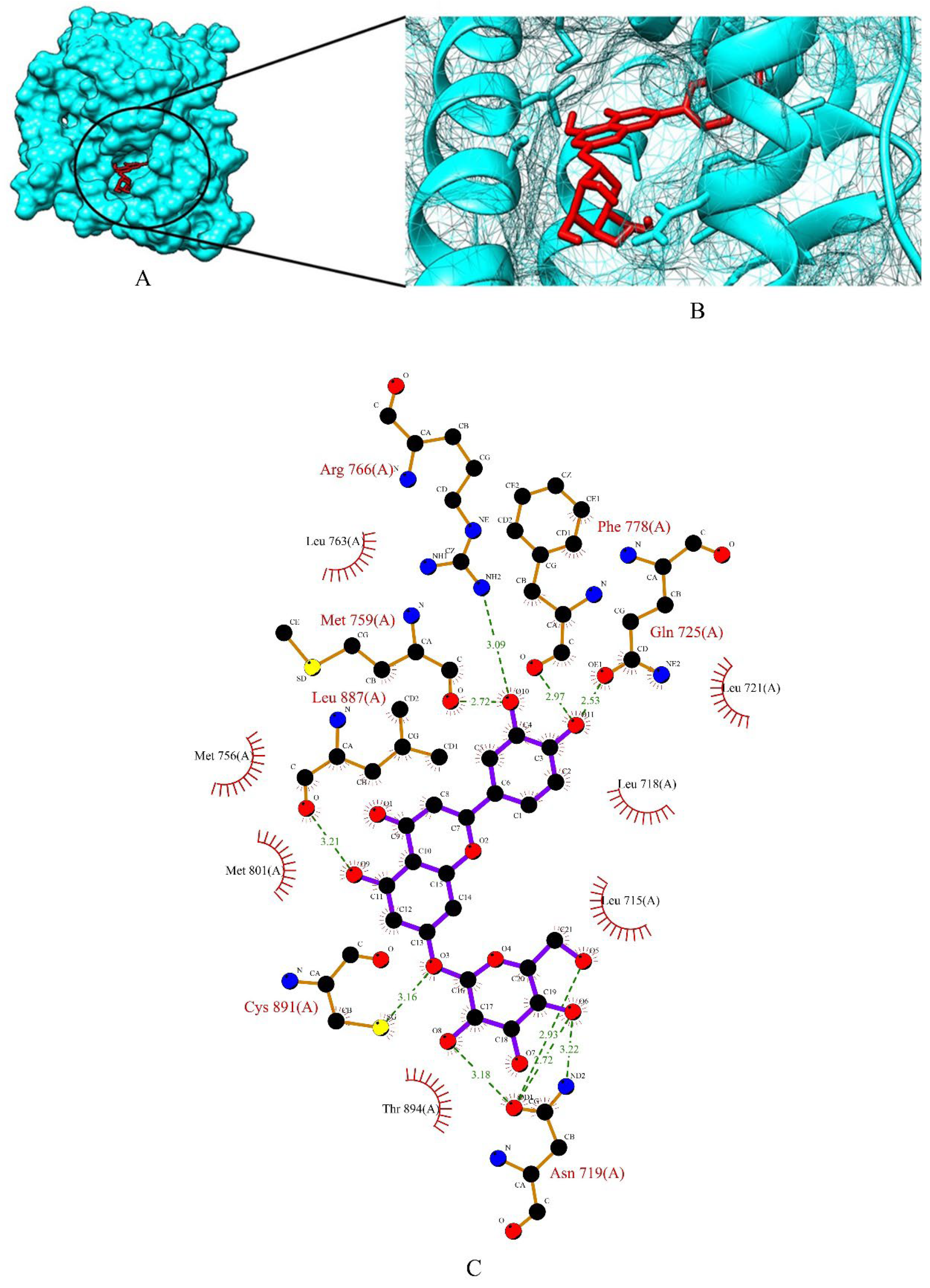Molecules 27 06590 g007 Molecules 27 06590 g007