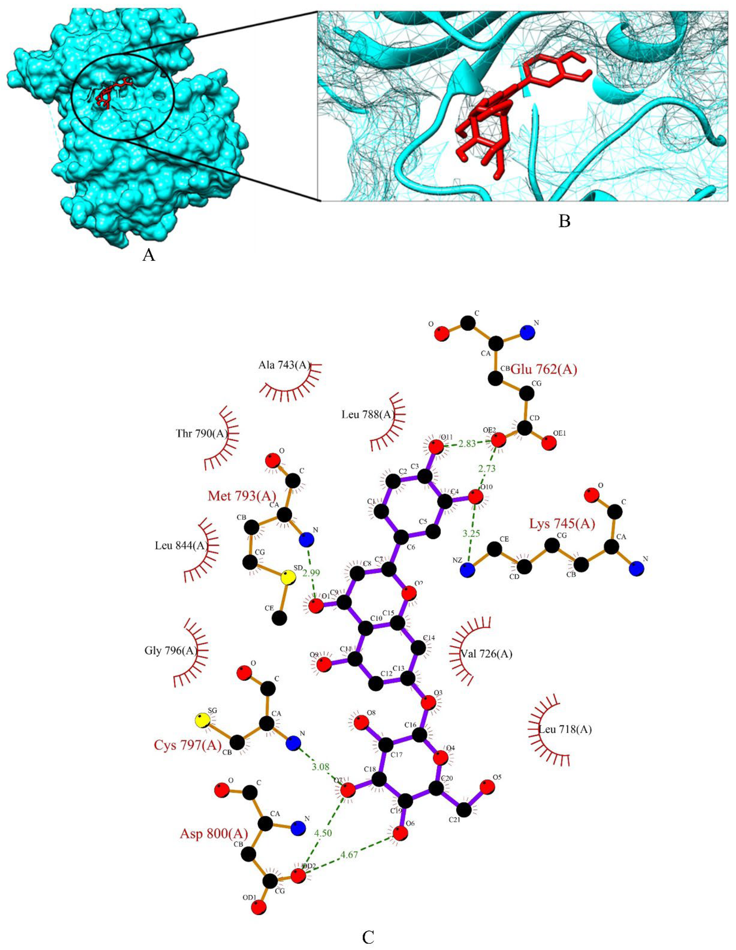 Molecules 27 06590 g011 Molecules 27 06590 g011