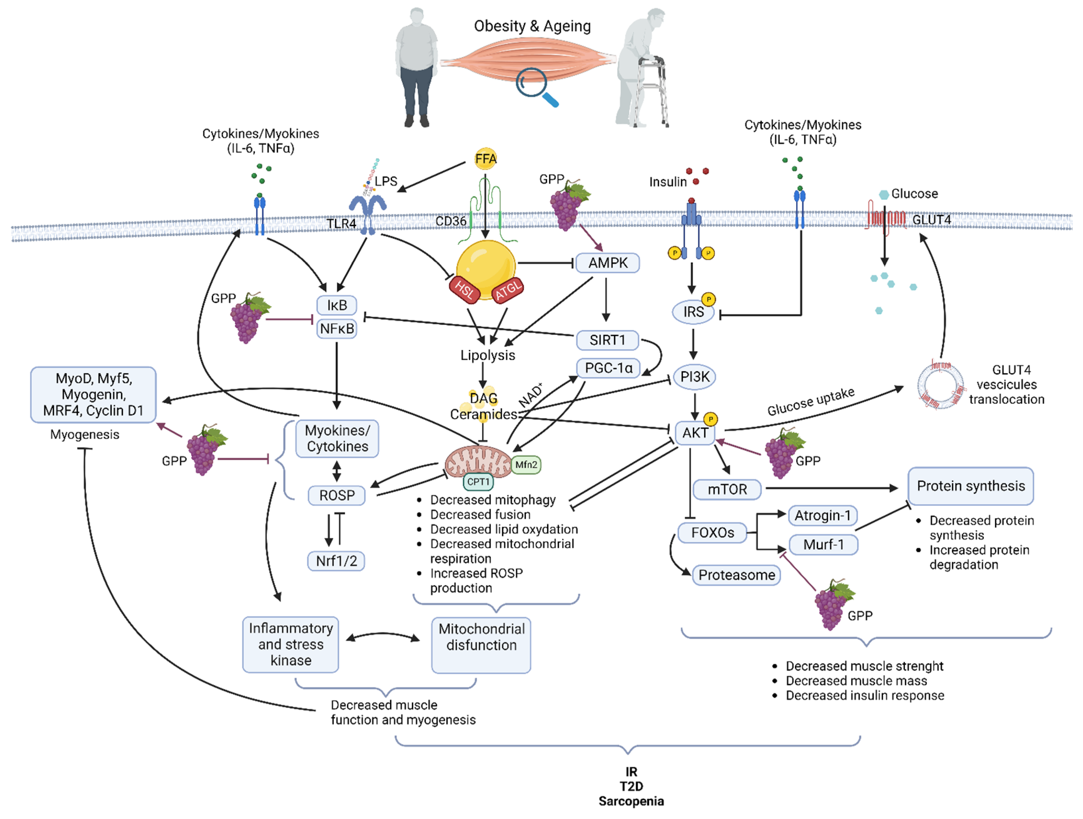 Molecules 27 06594 g001 Molecules 27 06594 g001