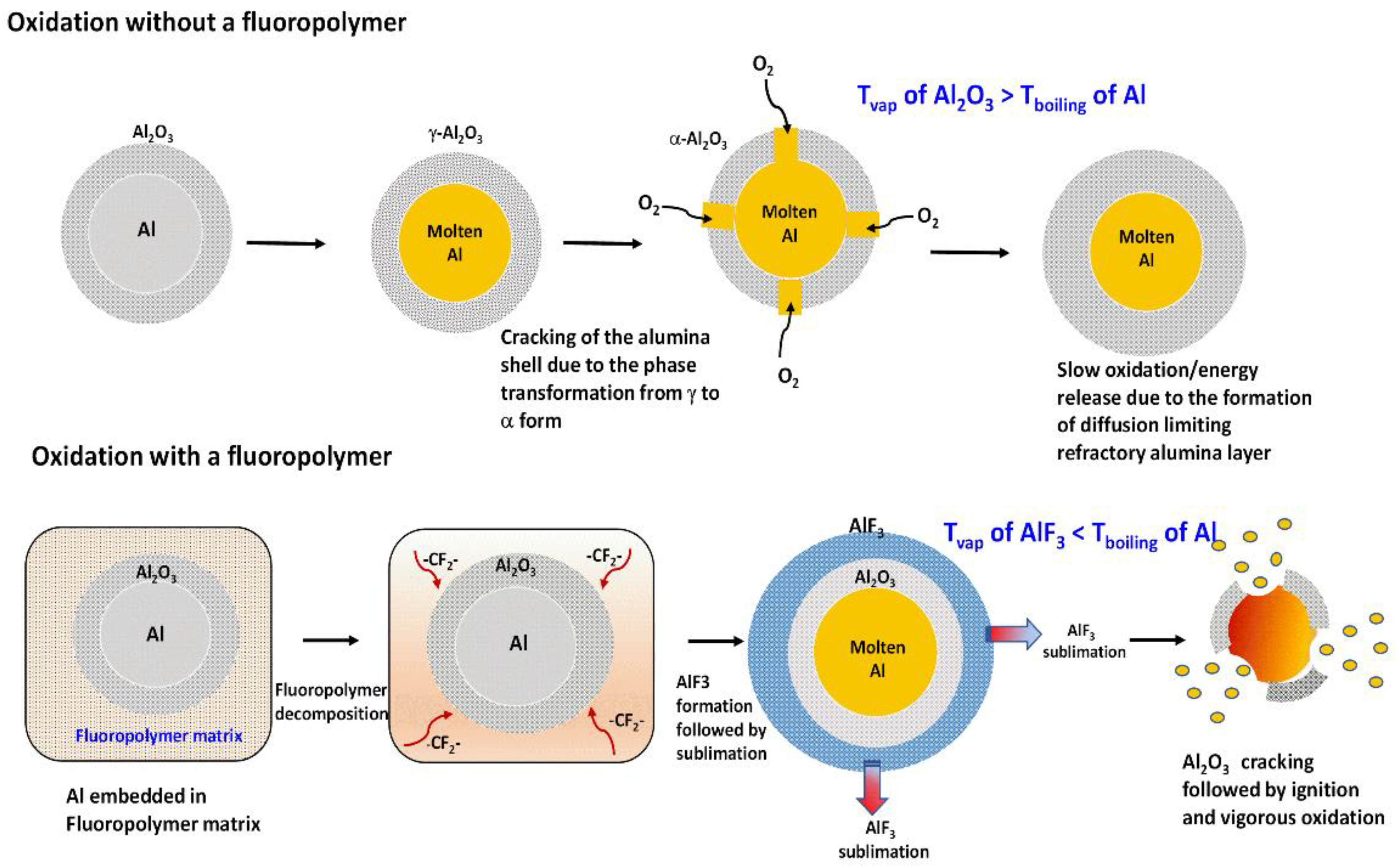 Molecules 27 06598 g001