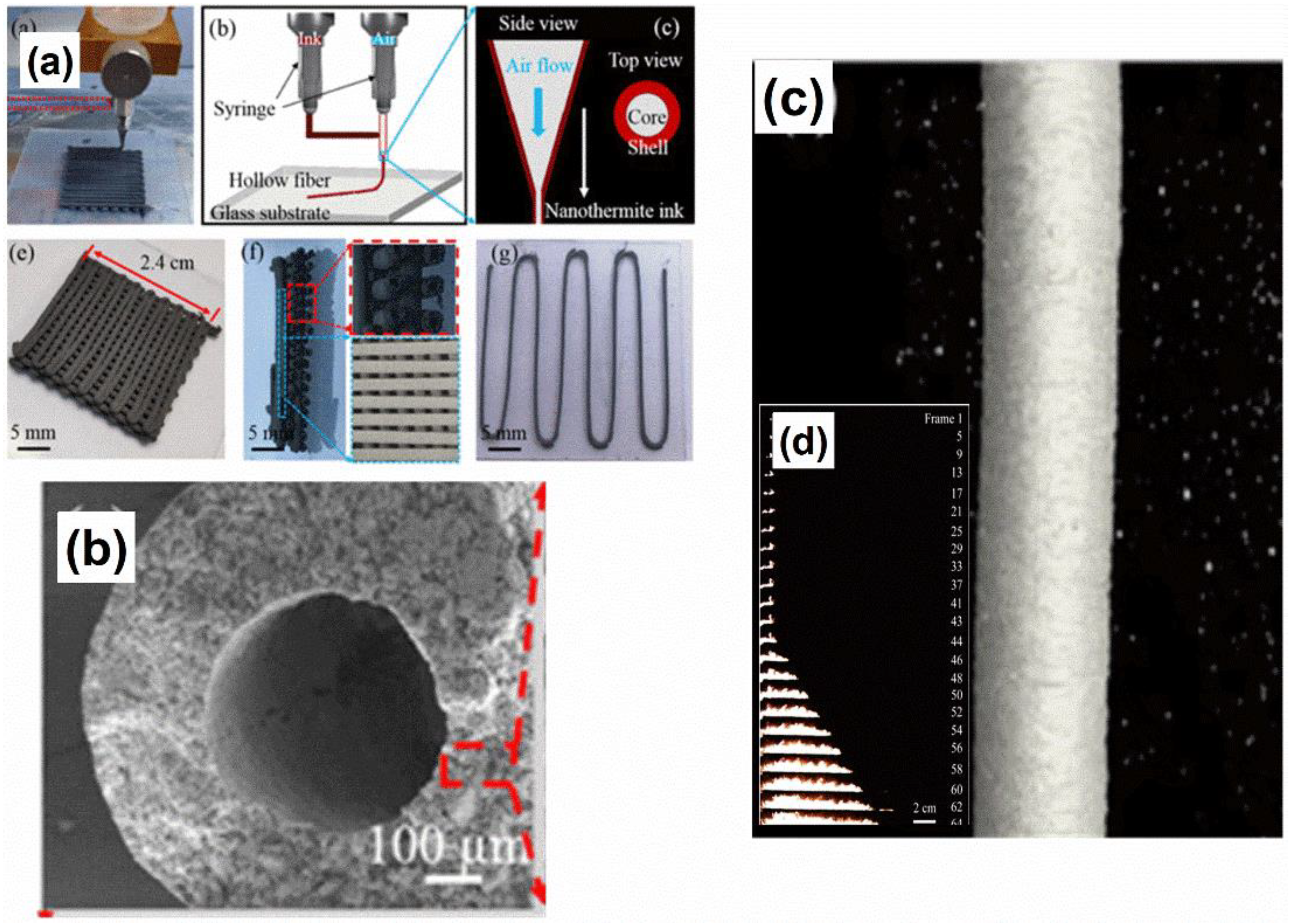 Molecules 27 06598 g010