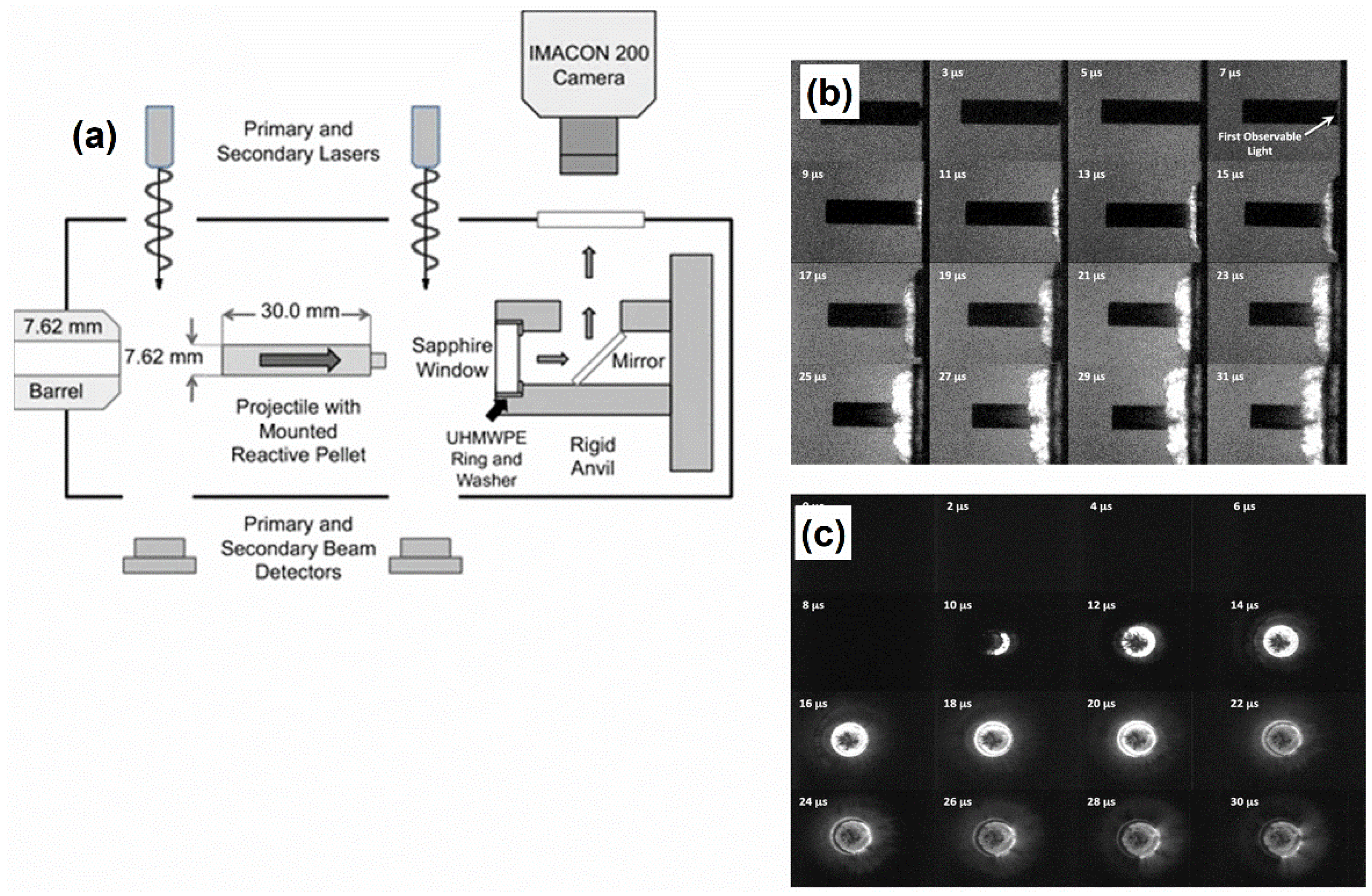Molecules 27 06598 g013