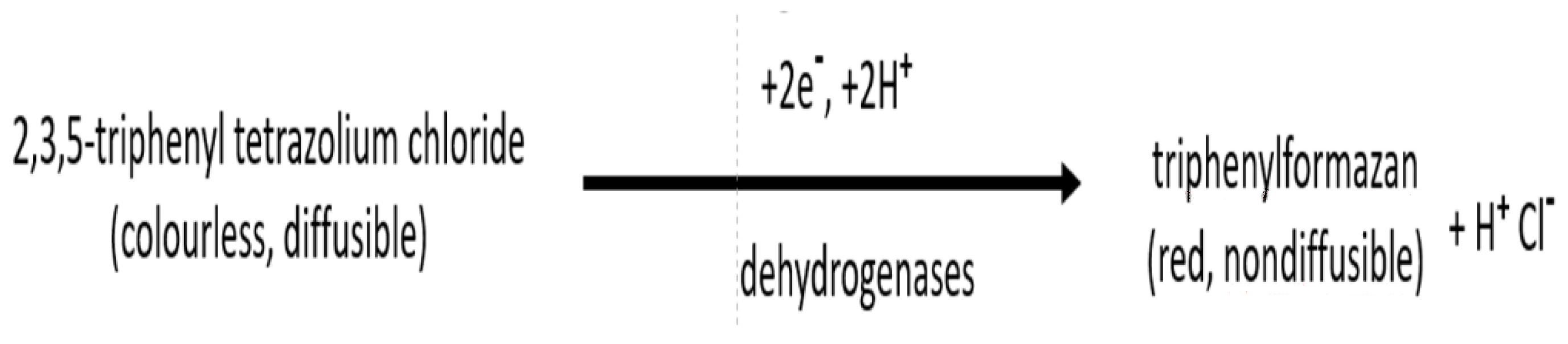 Molecules 27 06607 sch001 Molecules 27 06607 sch001