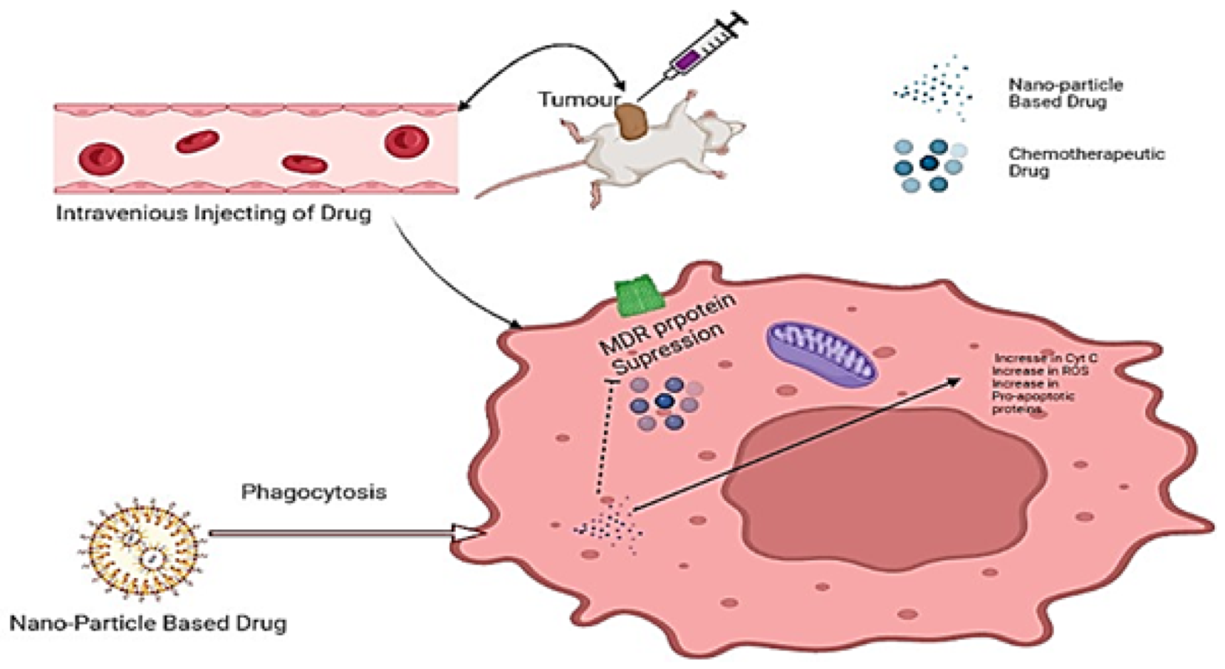 Molecules 27 06608 g003
