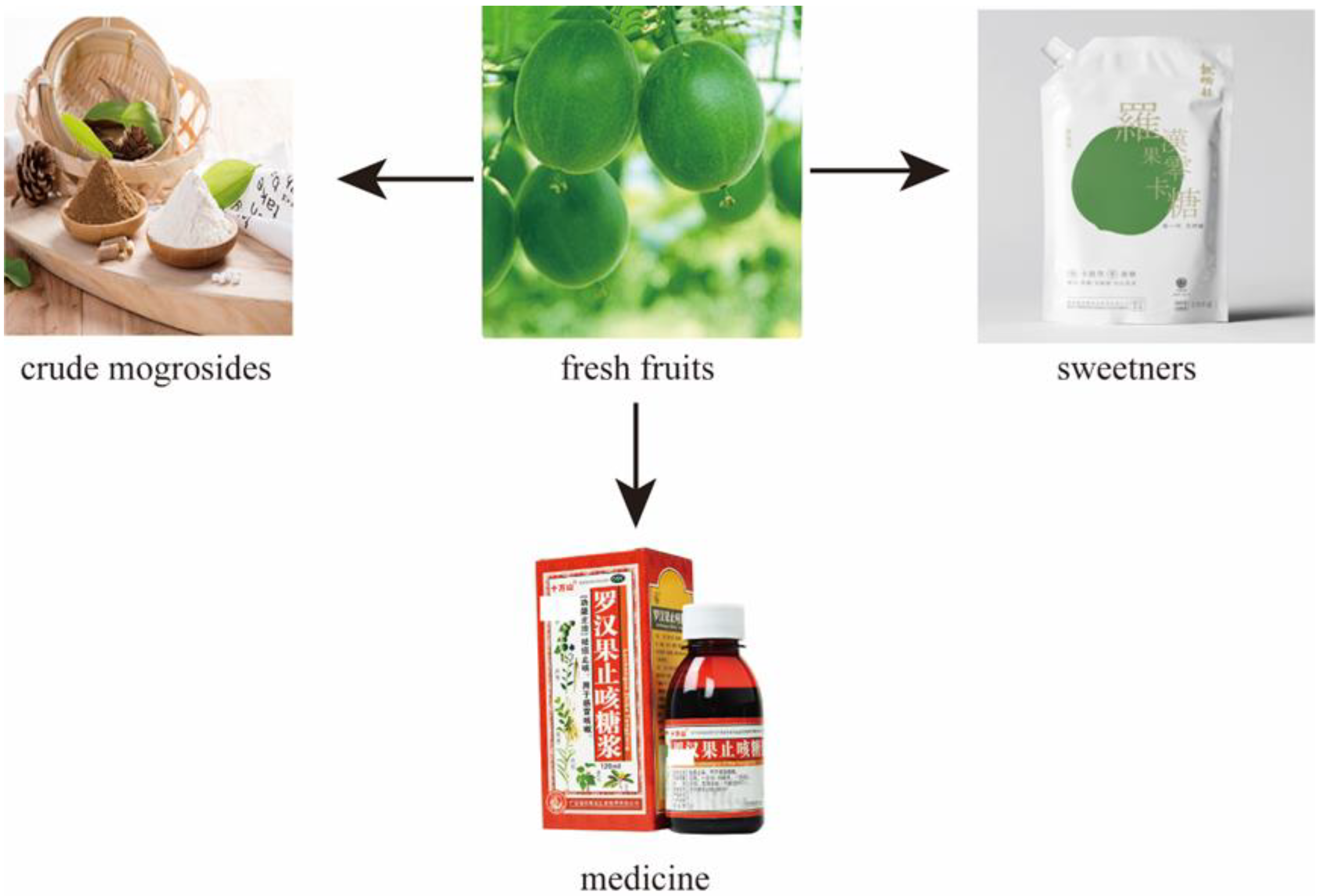 Energybody Vitamins + Minerals Powder - 300 g - with 10