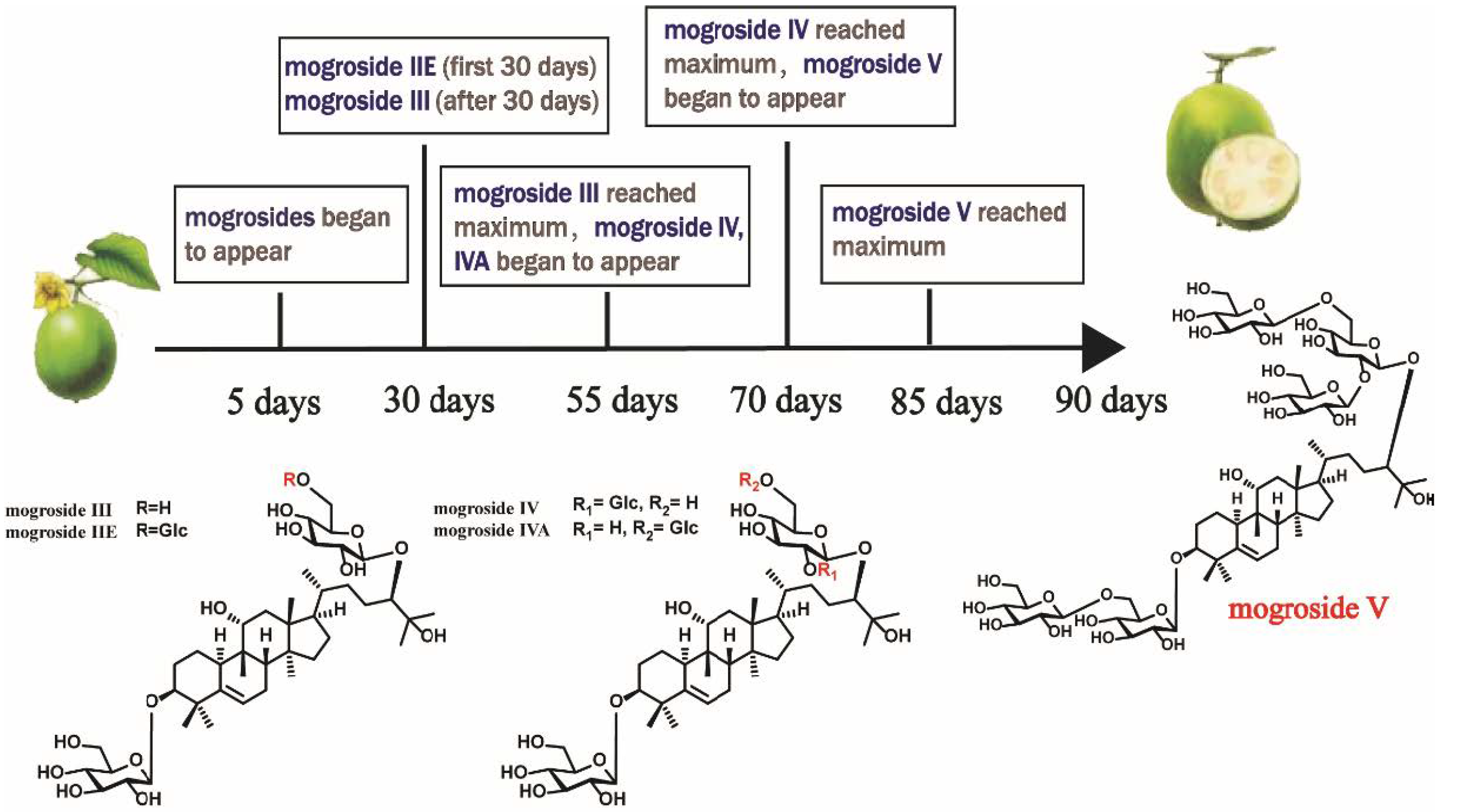 Molecules 27 06618 g003 Molecules 27 06618 g003