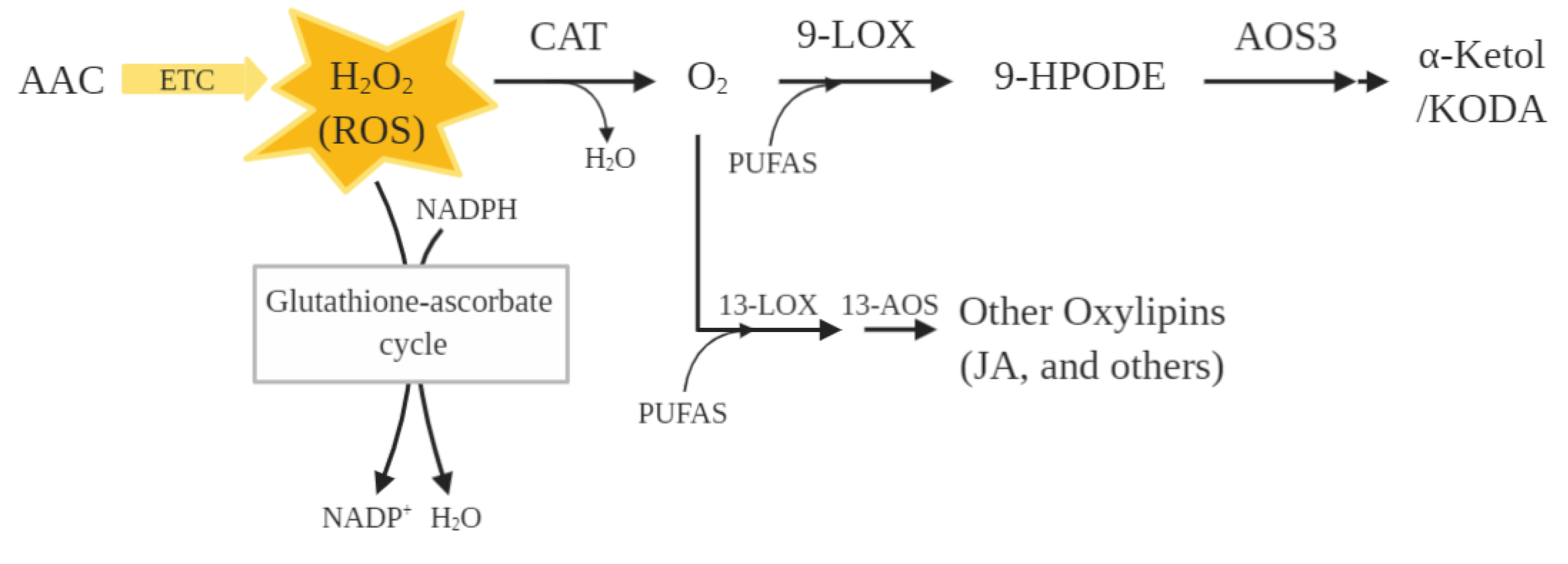 Molecules 27 06621 g004