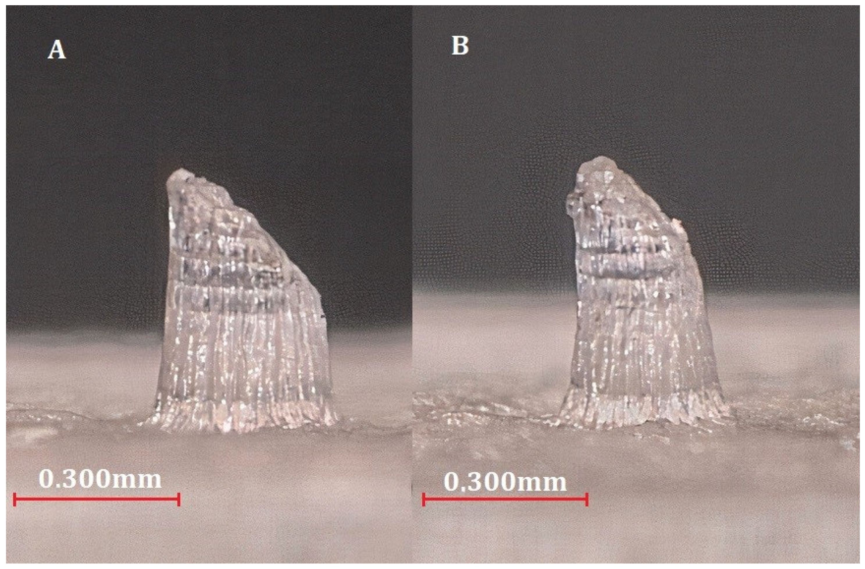 Molecules 27 06634 g009