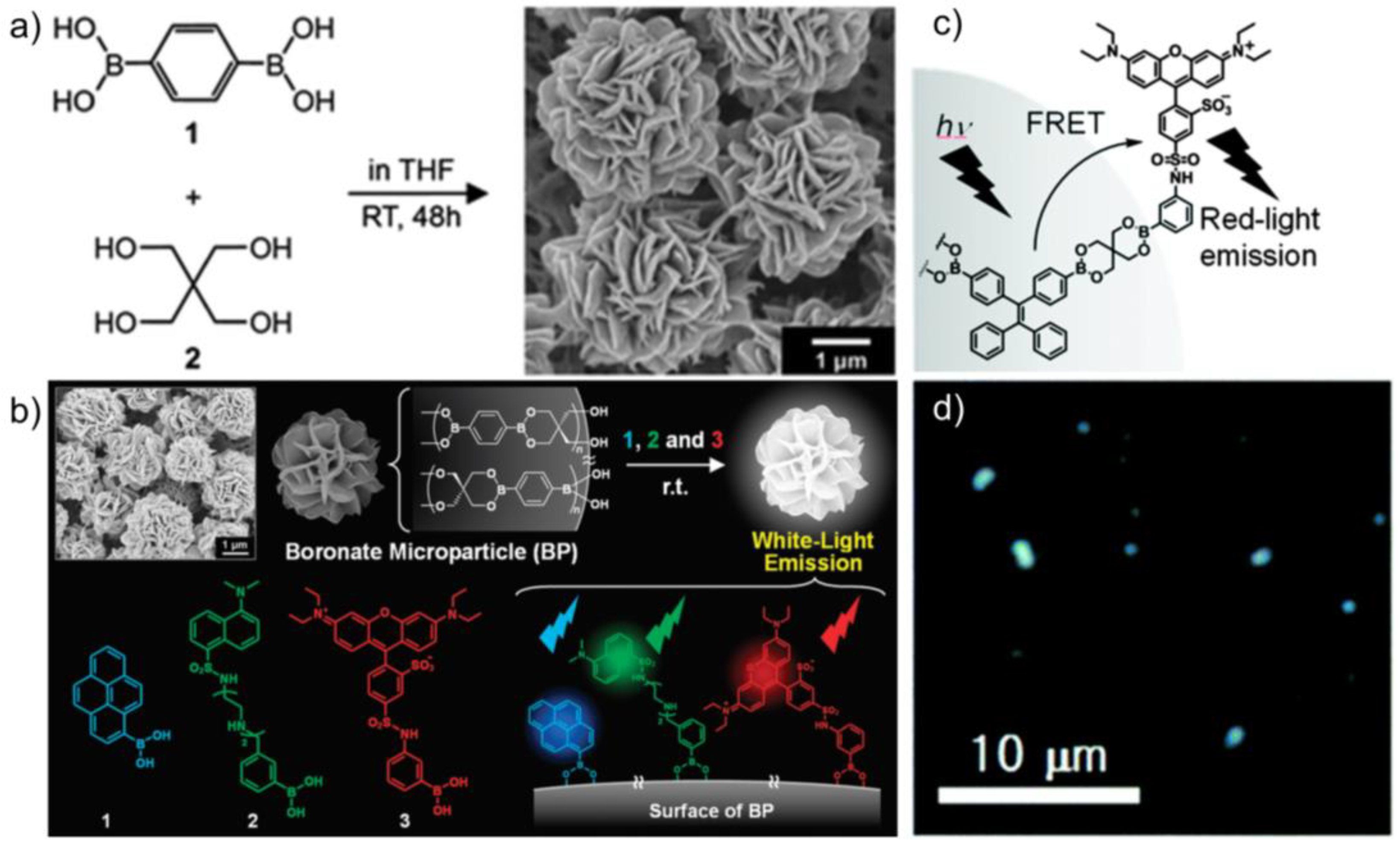 Molecules 27 06635 g005