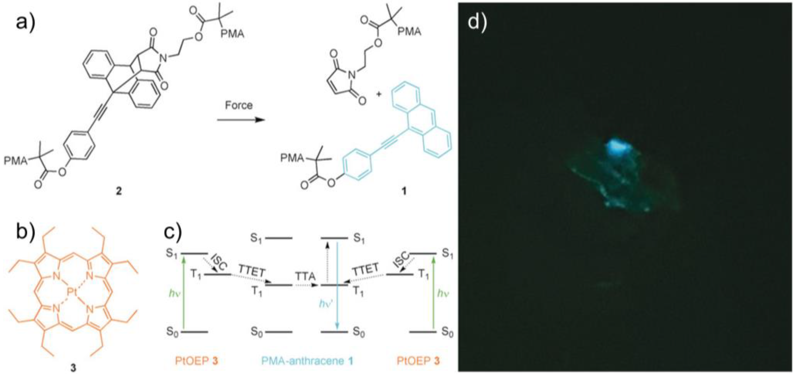 Molecules 27 06635 g009