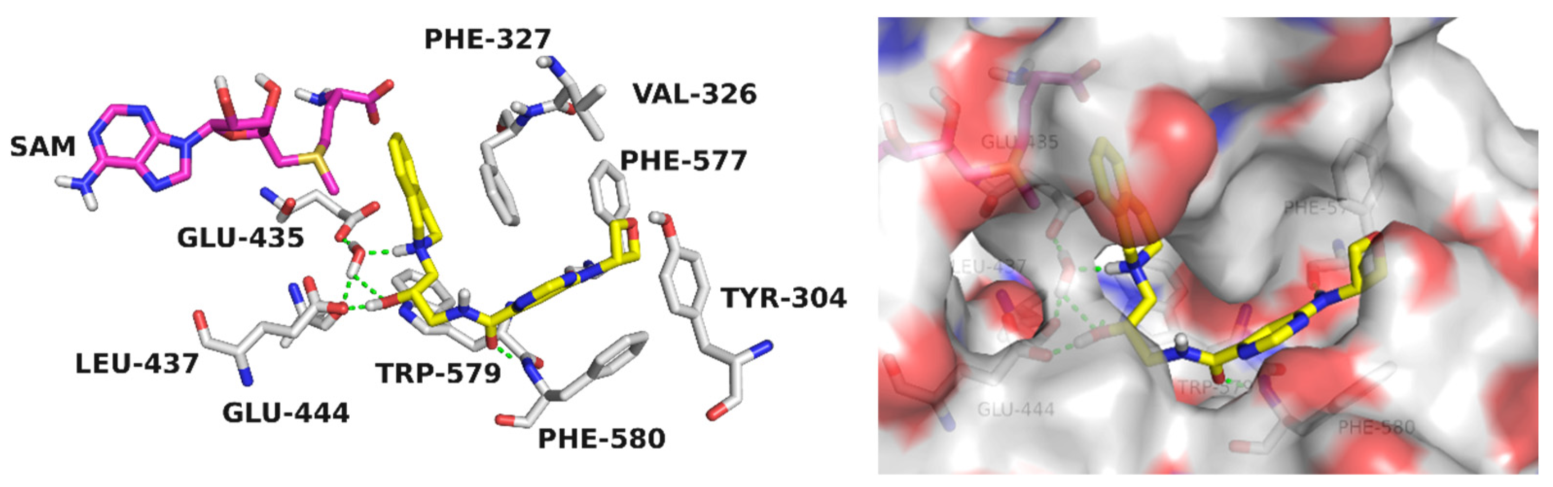 Molecules 27 06637 g002