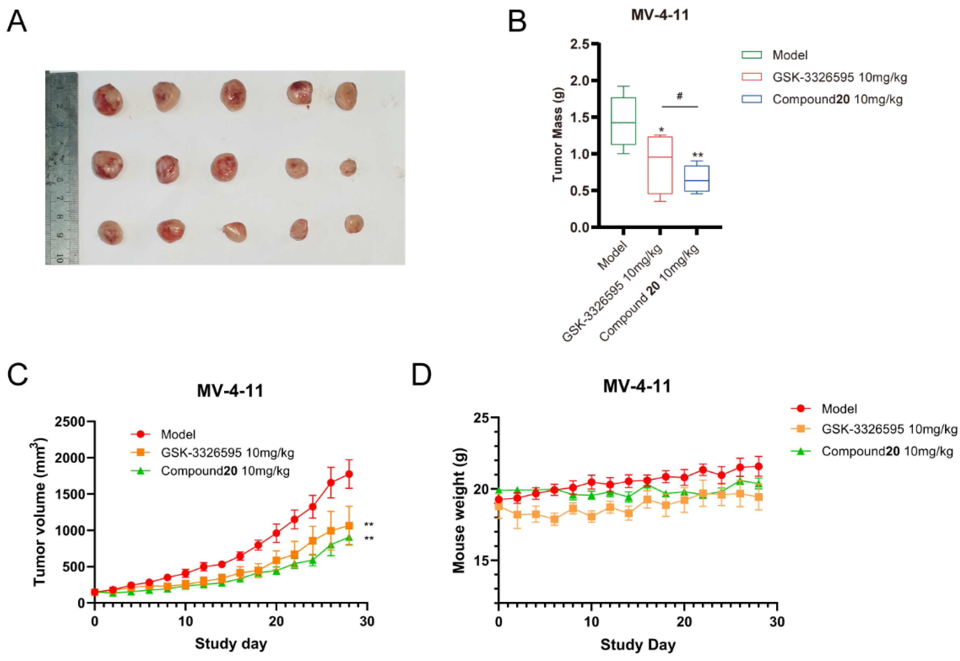 Molecules 27 06637 g006
