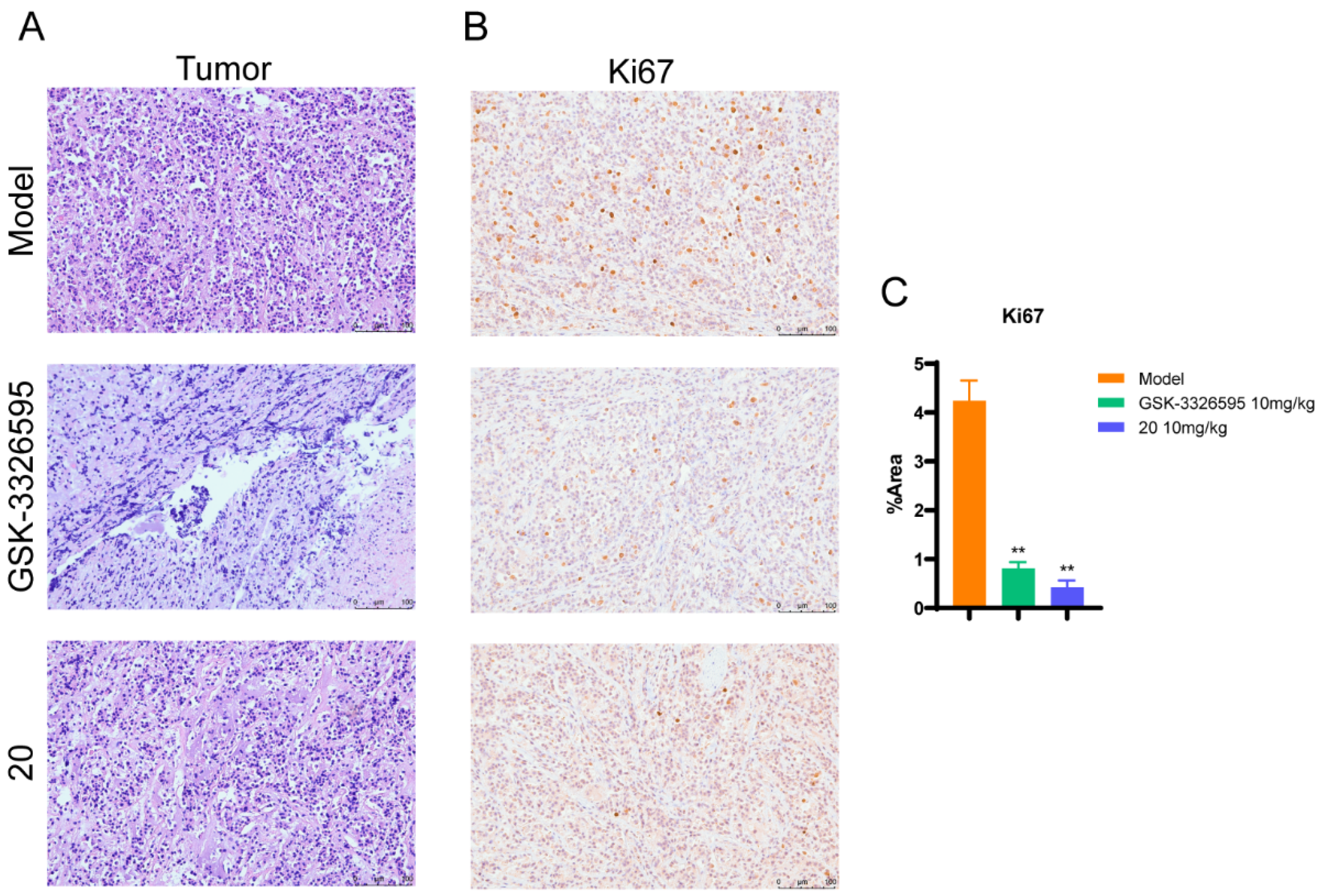 Molecules 27 06637 g007