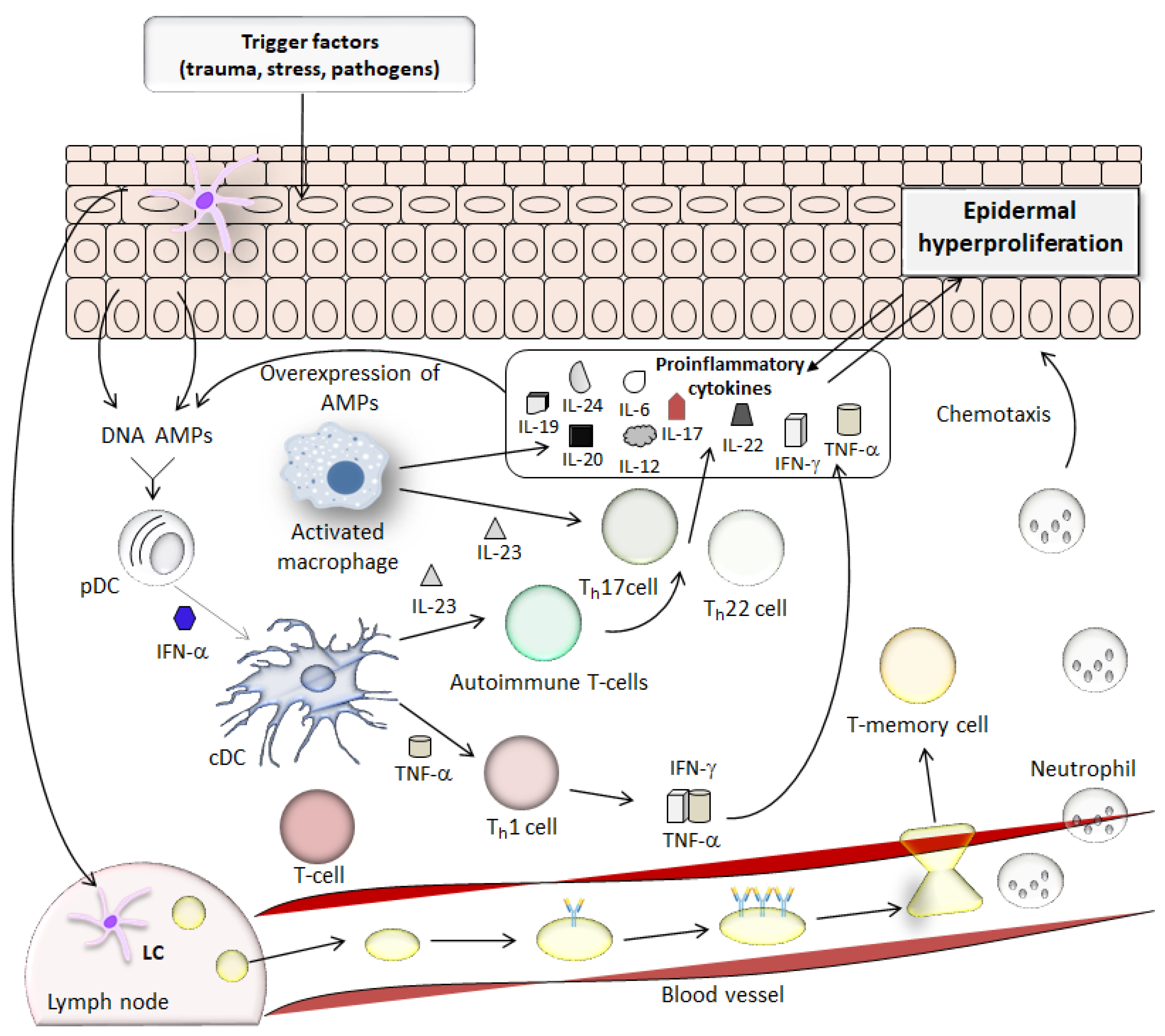 Molecules 27 06640 g002