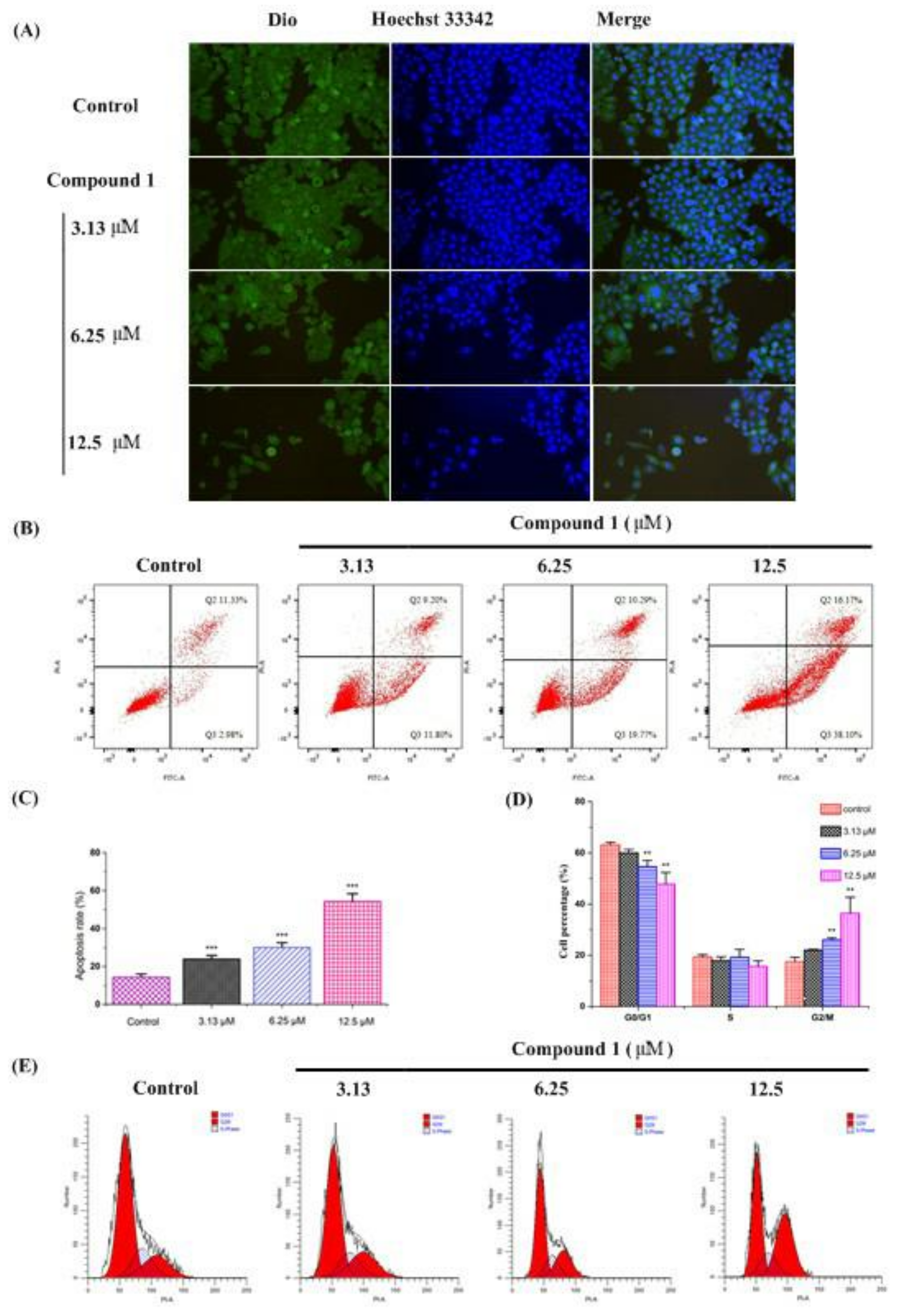 Molecules 27 06641 g004