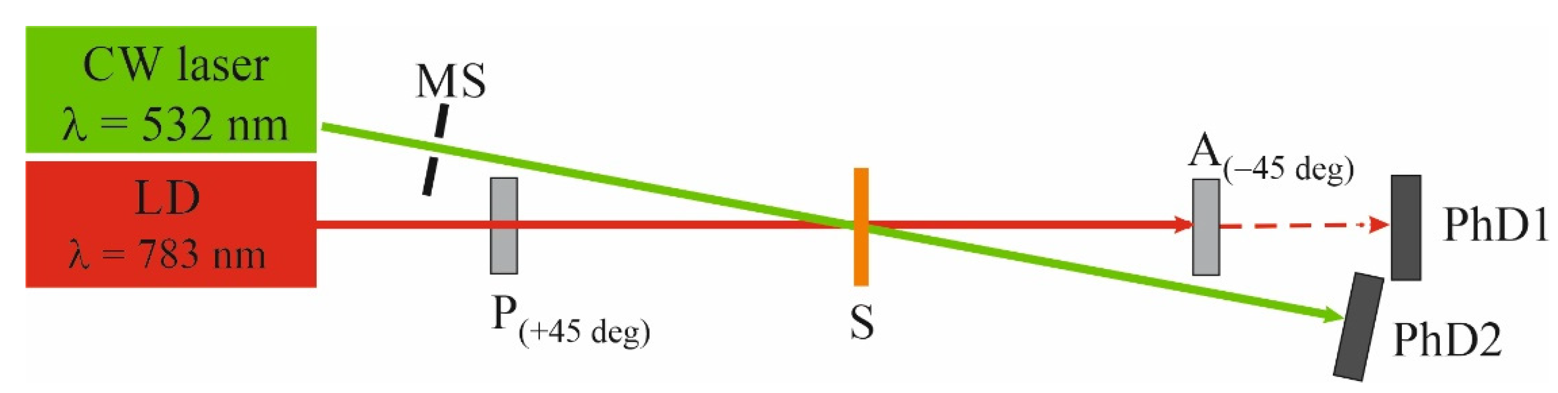 Molecules 27 06655 g008