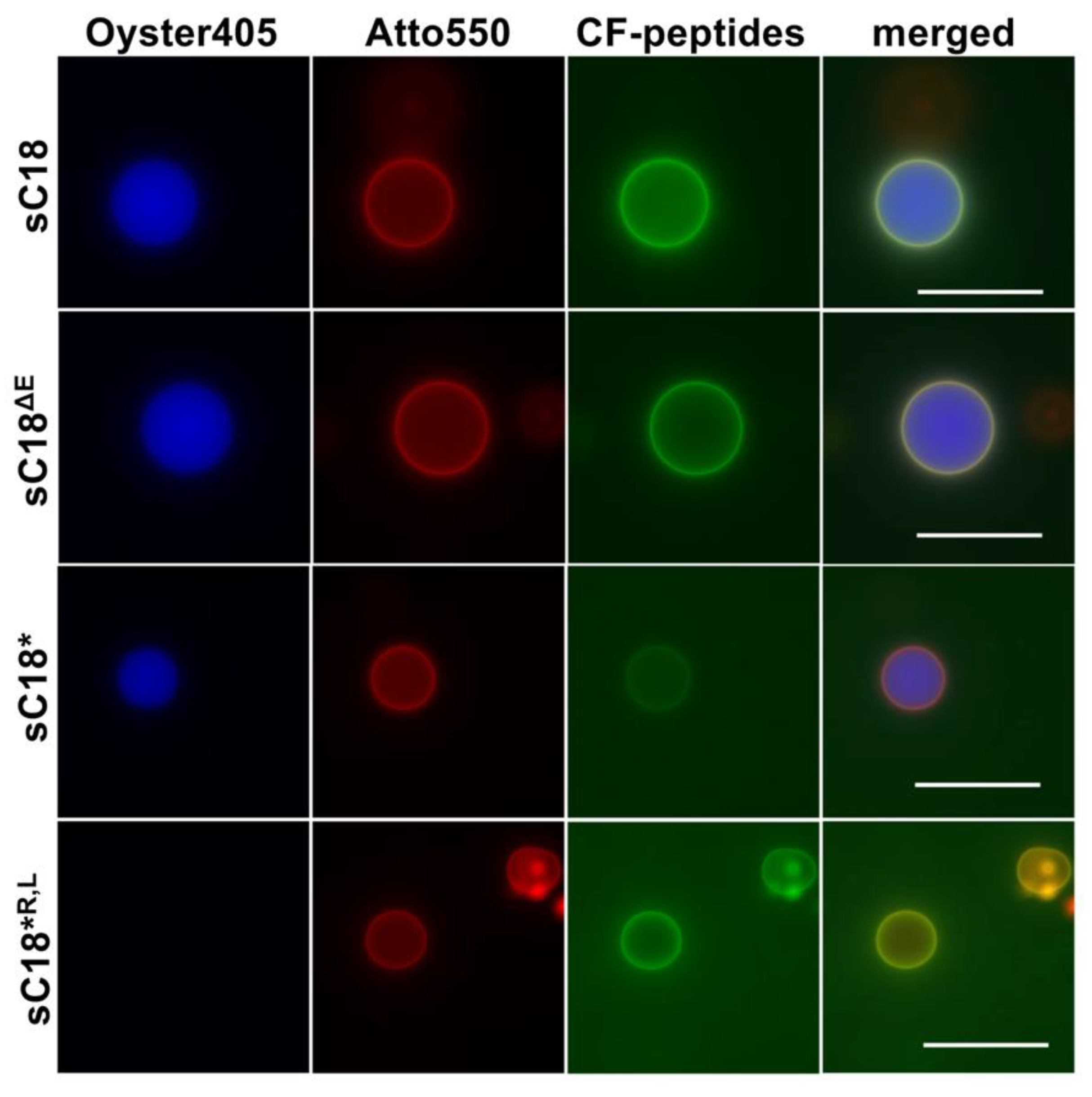 Molecules 27 06656 g004 Molecules 27 06656 g004
